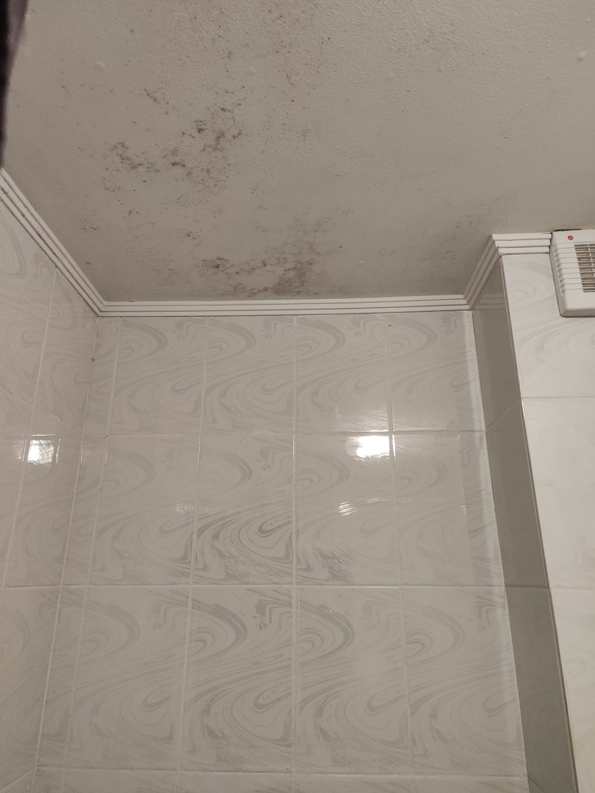 Фото Семейный