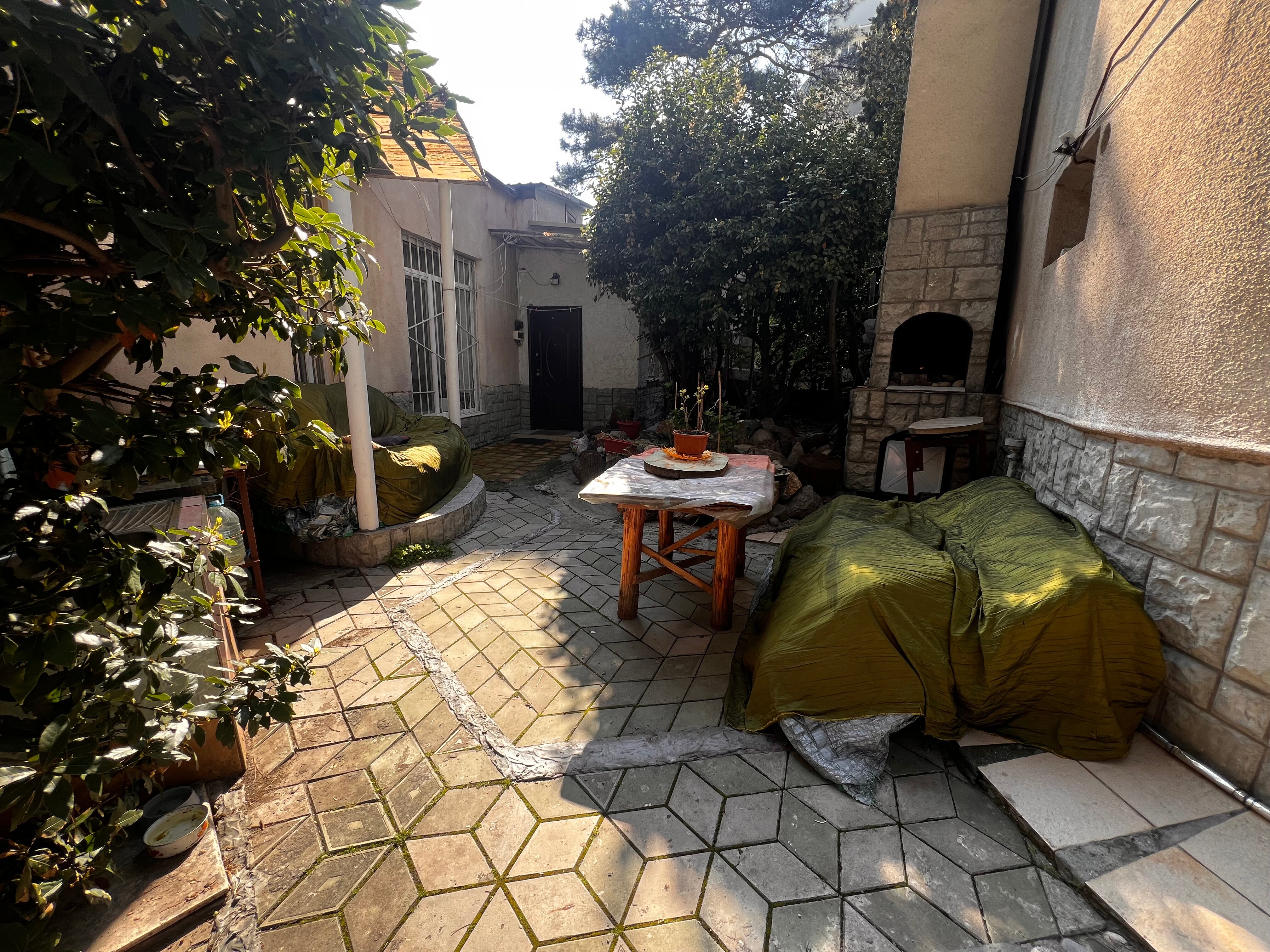 Фото Сосна и Пальмы