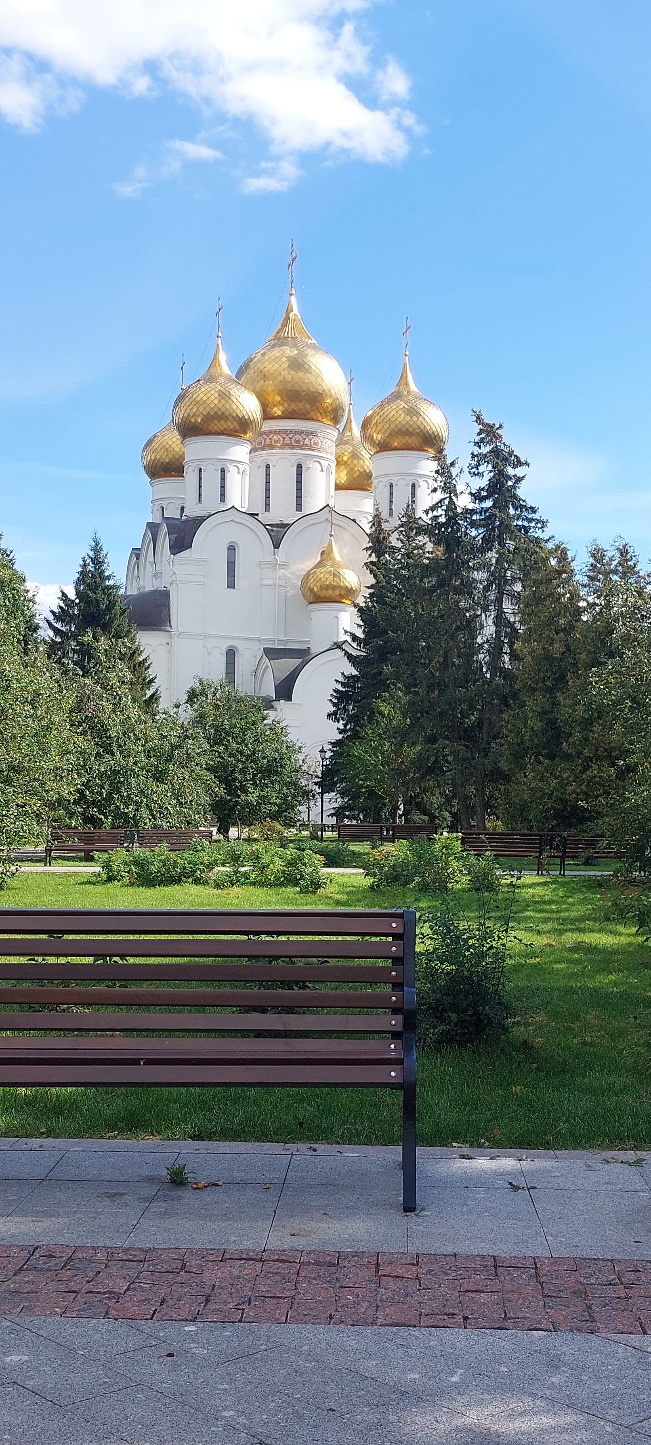 Фото Которосль