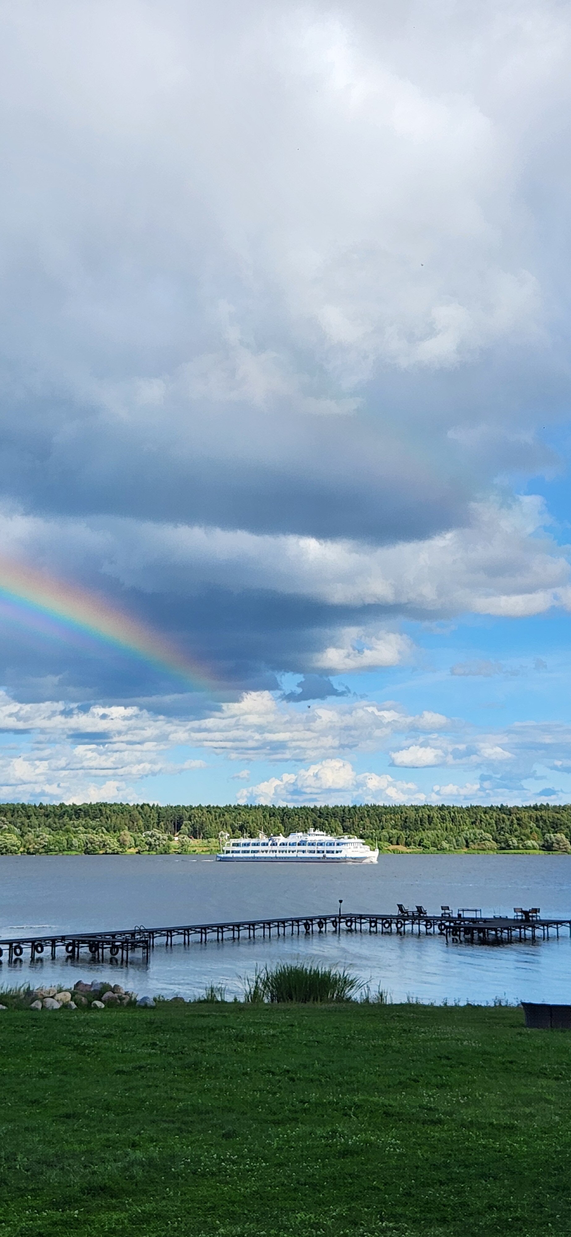 Фото Ёлки зелёные