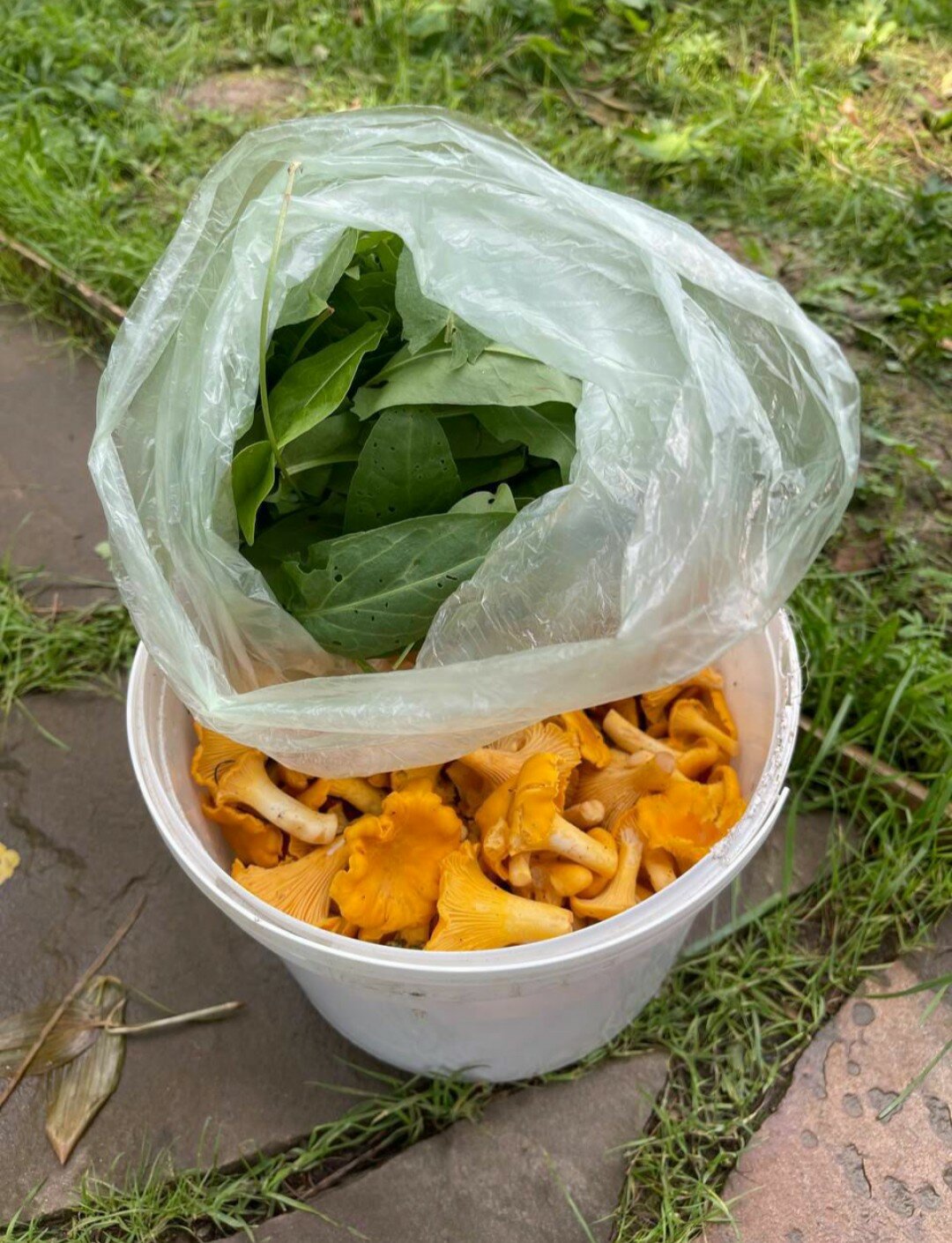 Фото Романов дача