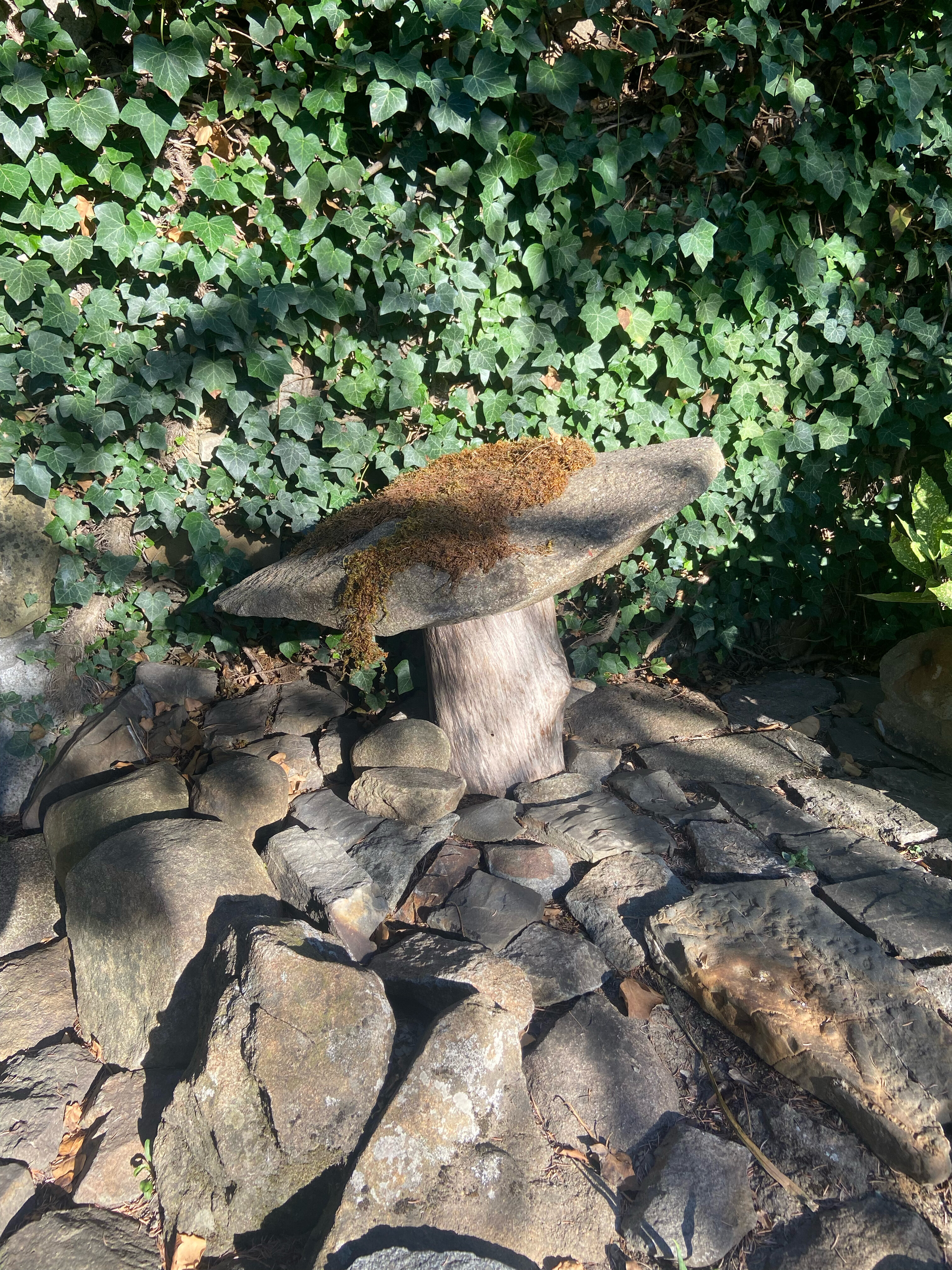 Фото Лесной