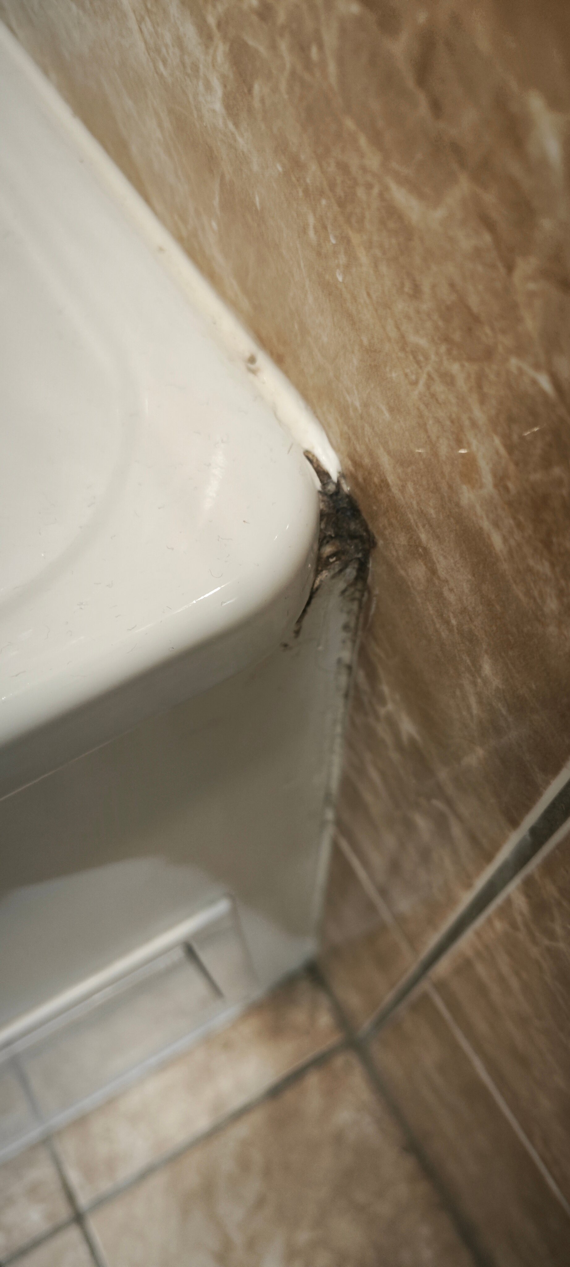 Фото Галерея апартаменты 