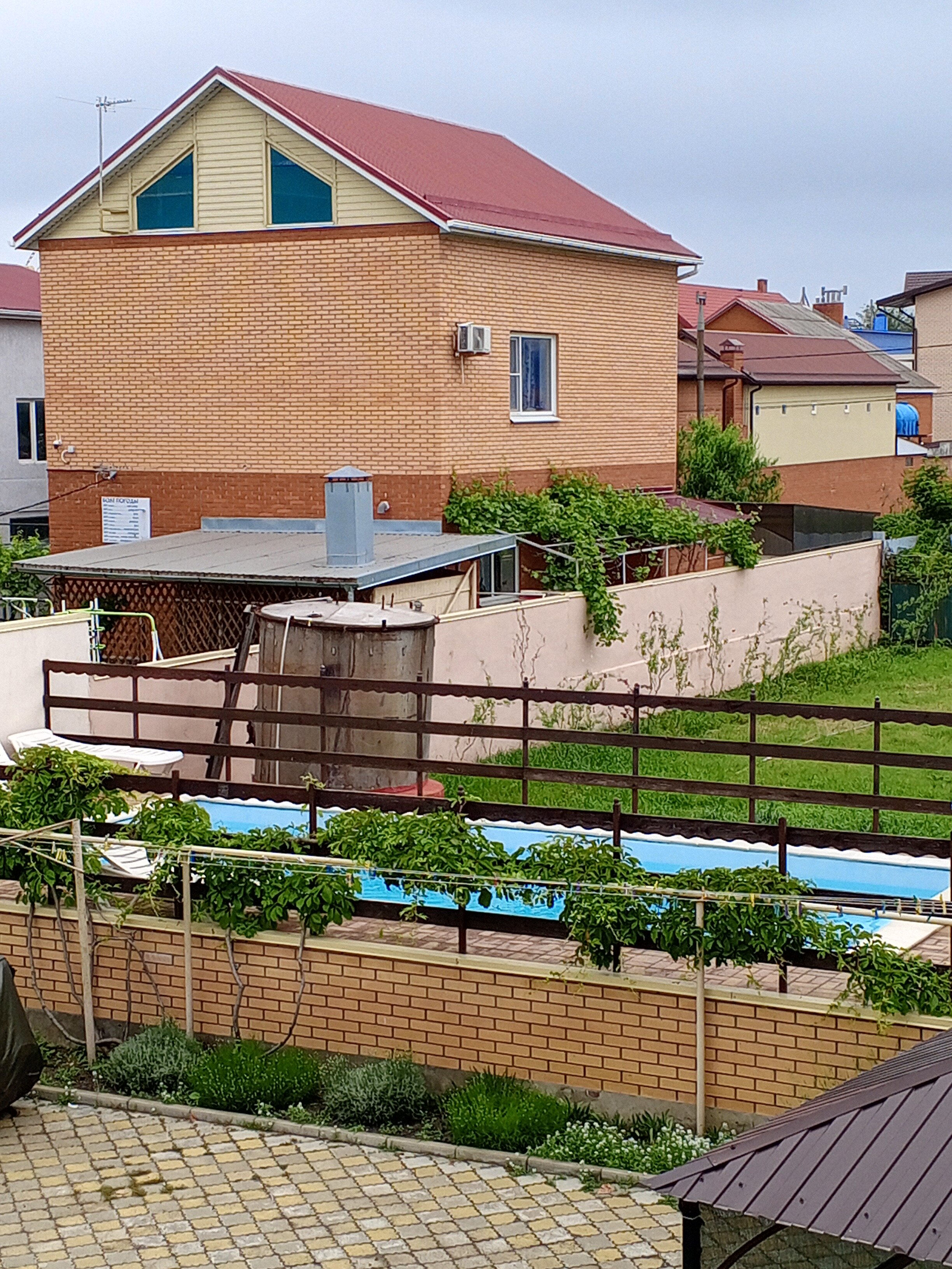 Фото Янтарная гроздь