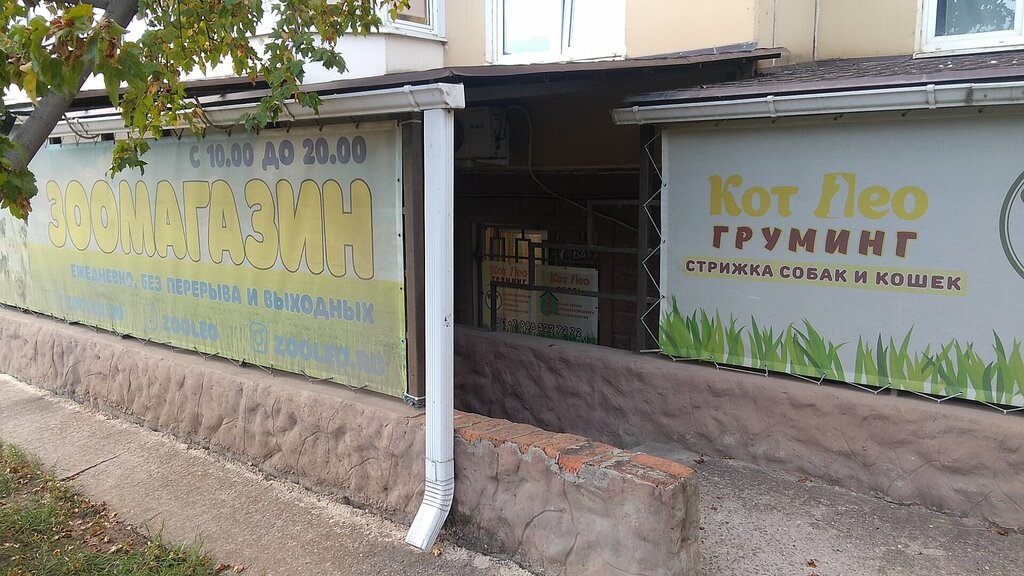 Pet shop Кот Лео, Krasnodar, photo