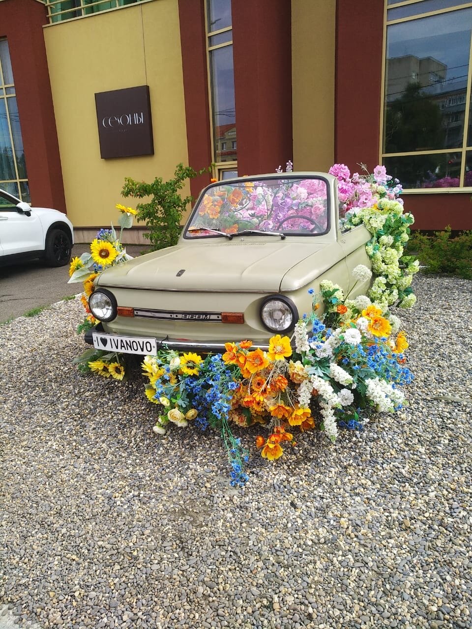 Фото Шеддок