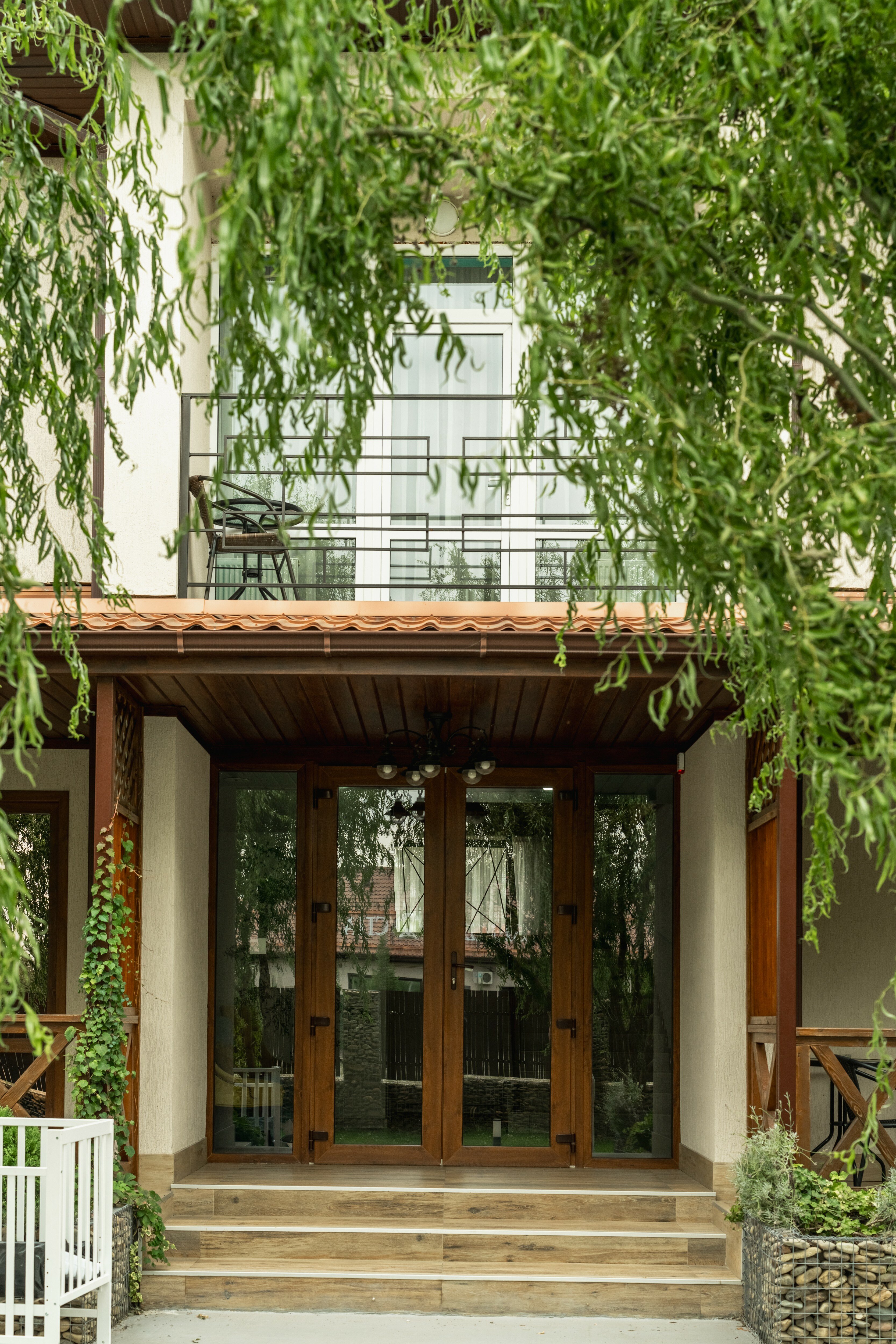 Фото Березка