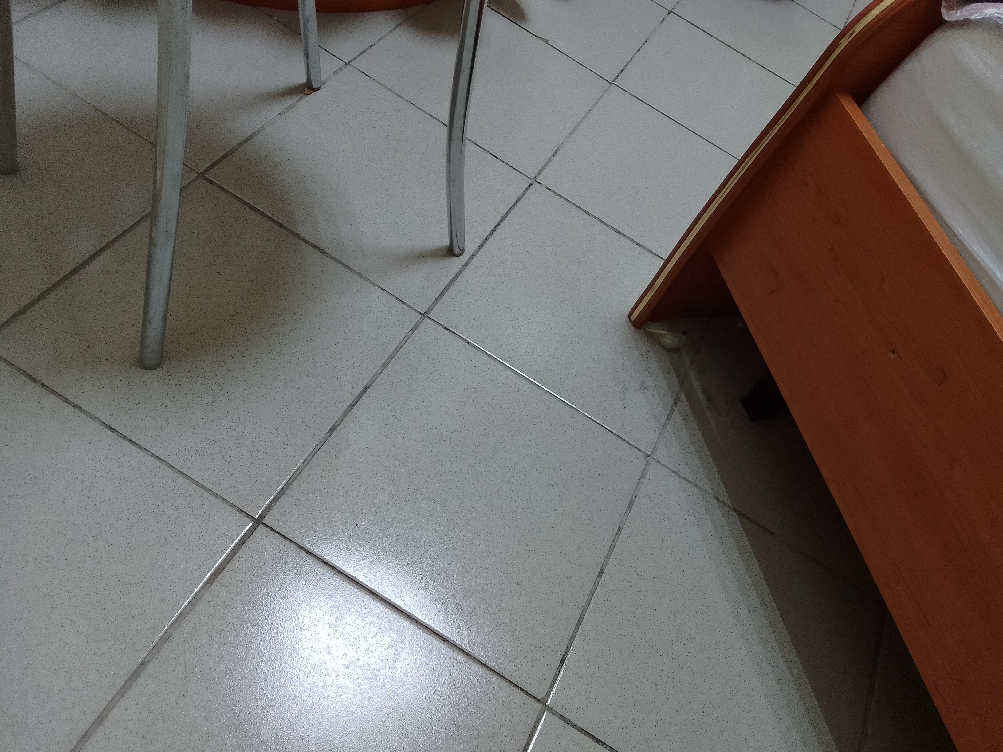 Фото Алишка