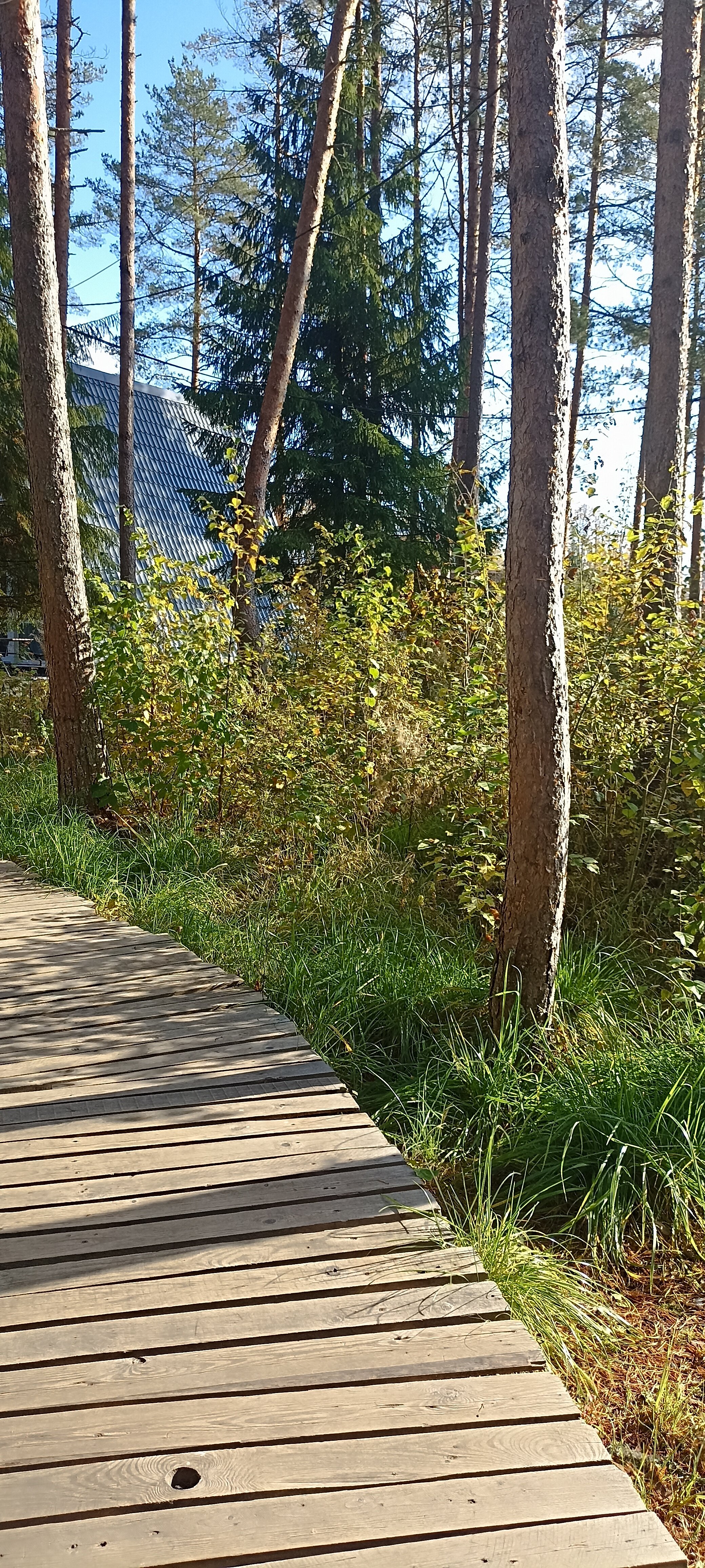 Фото Пикник 2.0