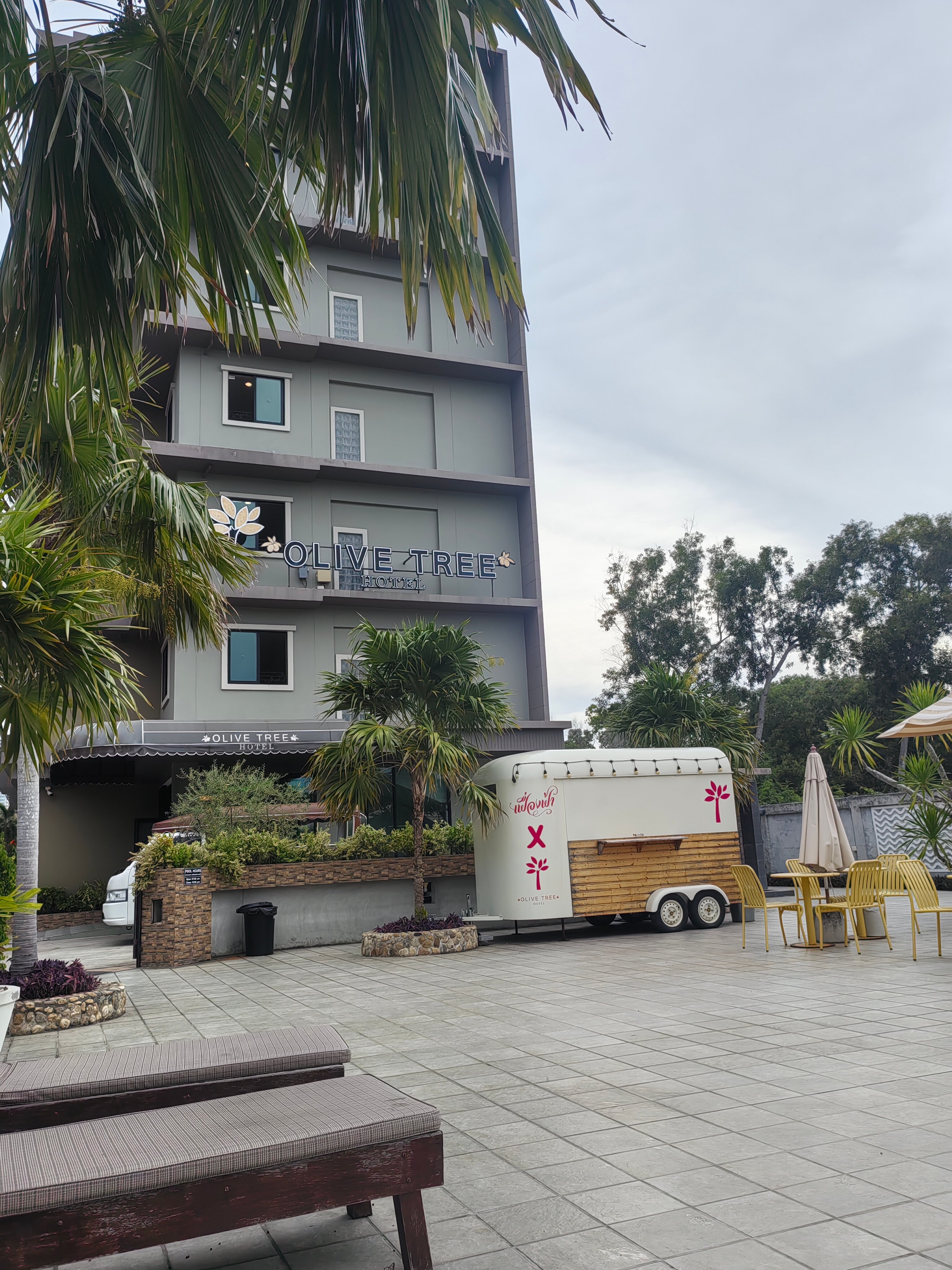 Фото The Mangrove Hotel