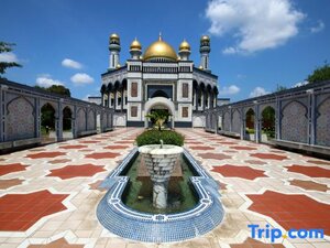 Гостиница The Centrepoint Hotel