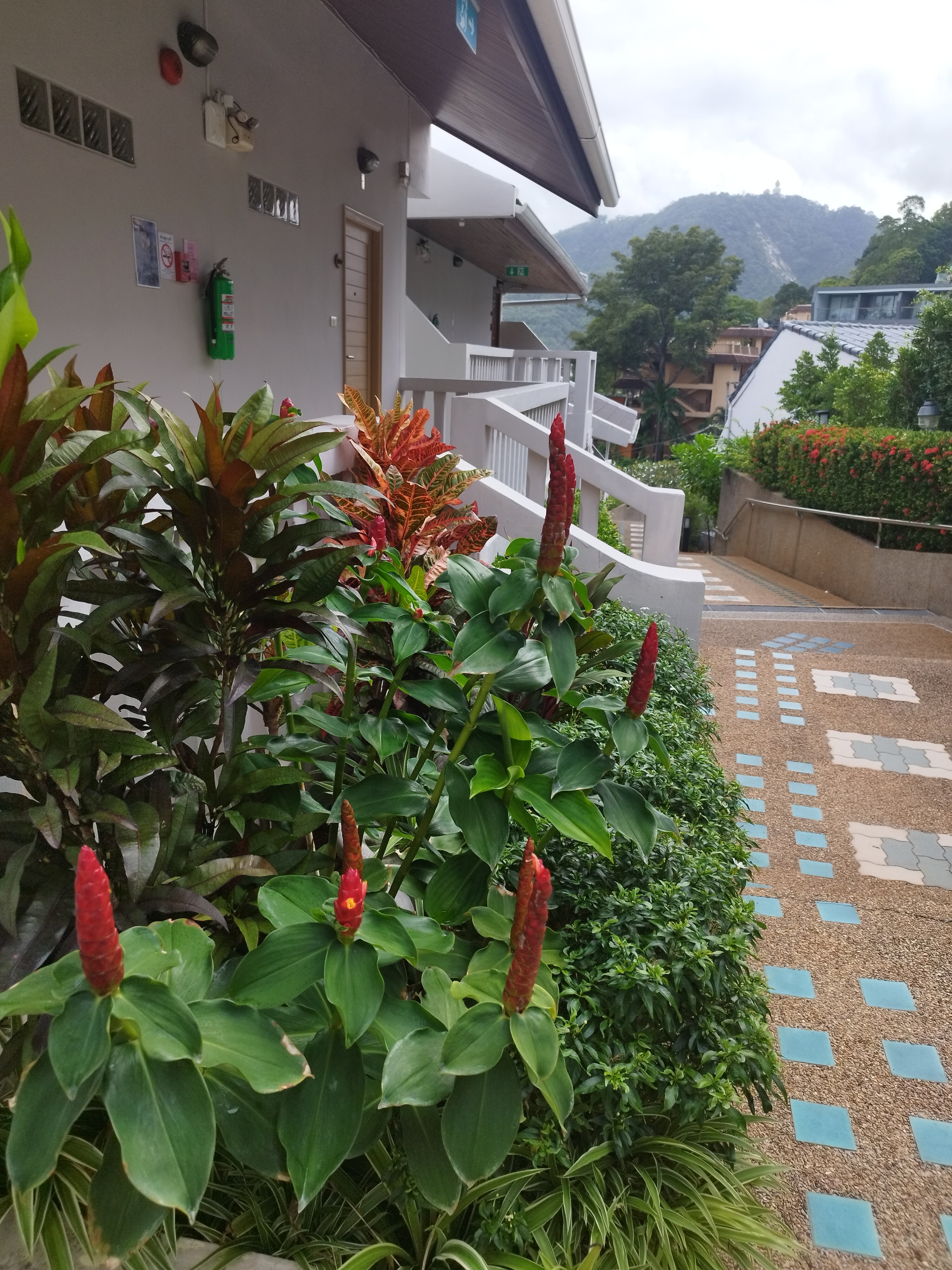 Фото Orchidacea Resort