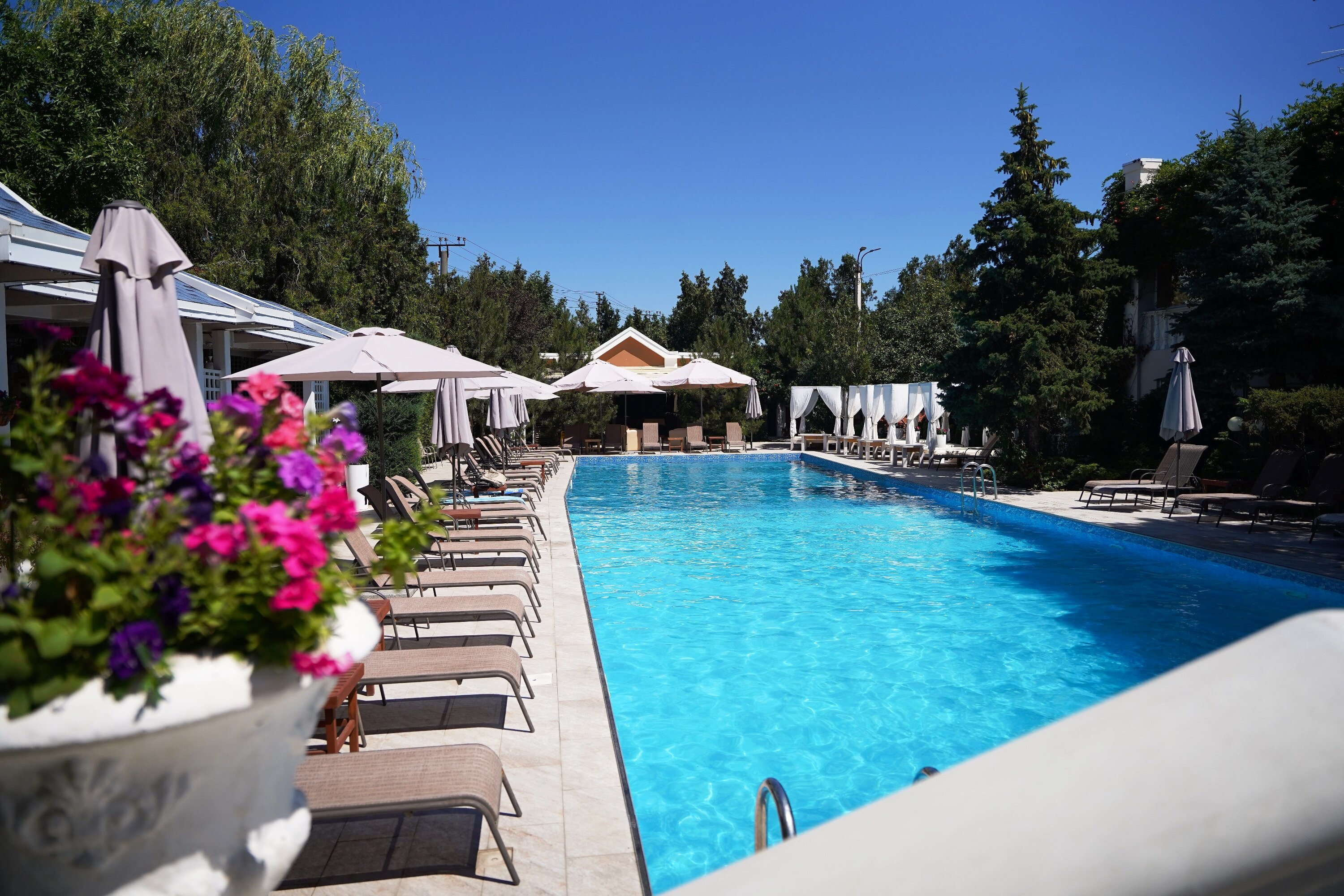 Фото Александр