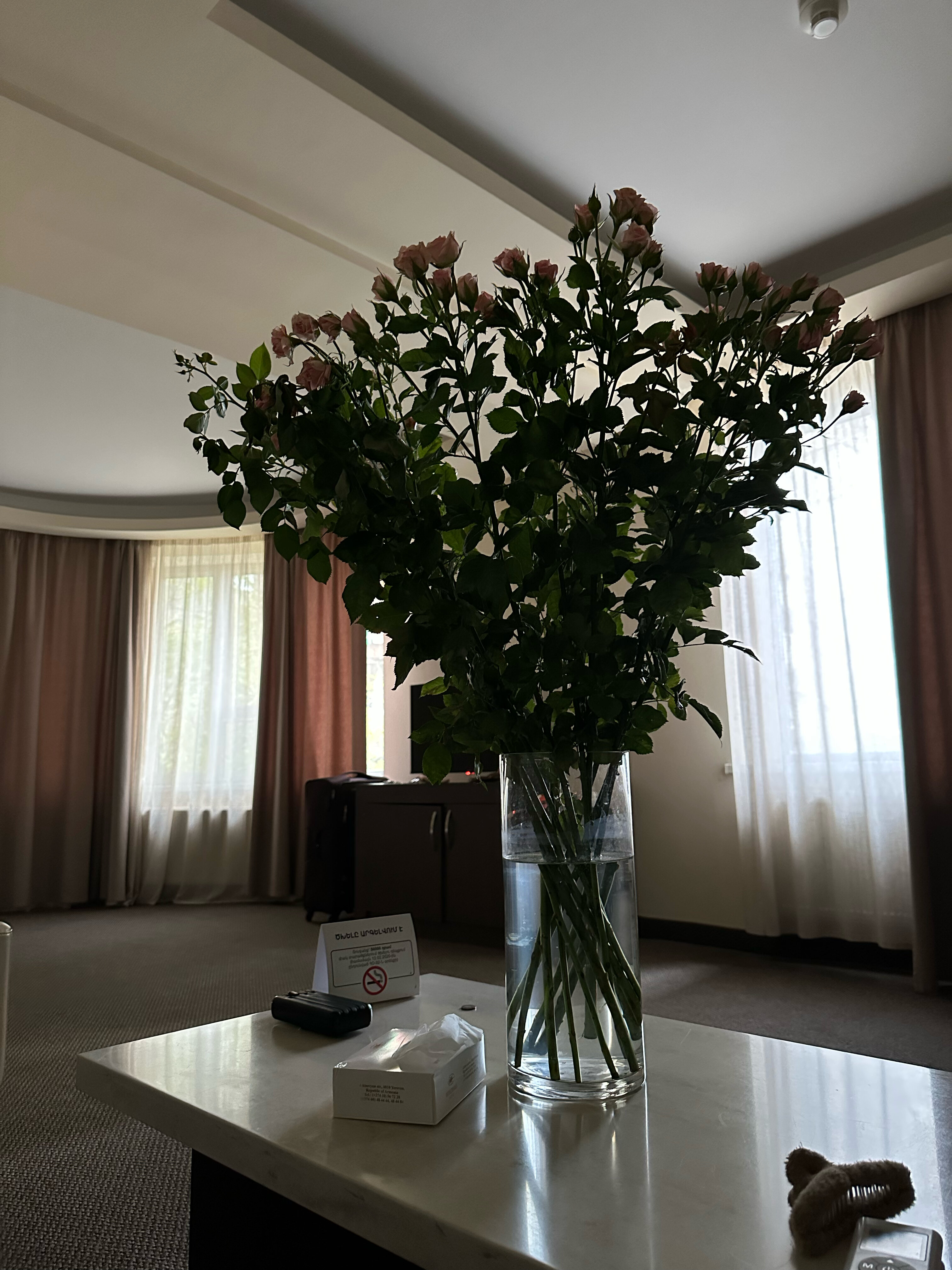 Фото Aviatrans Hotel