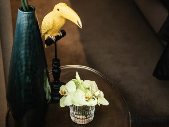 Фото The Delphi - Amsterdam Townhouse