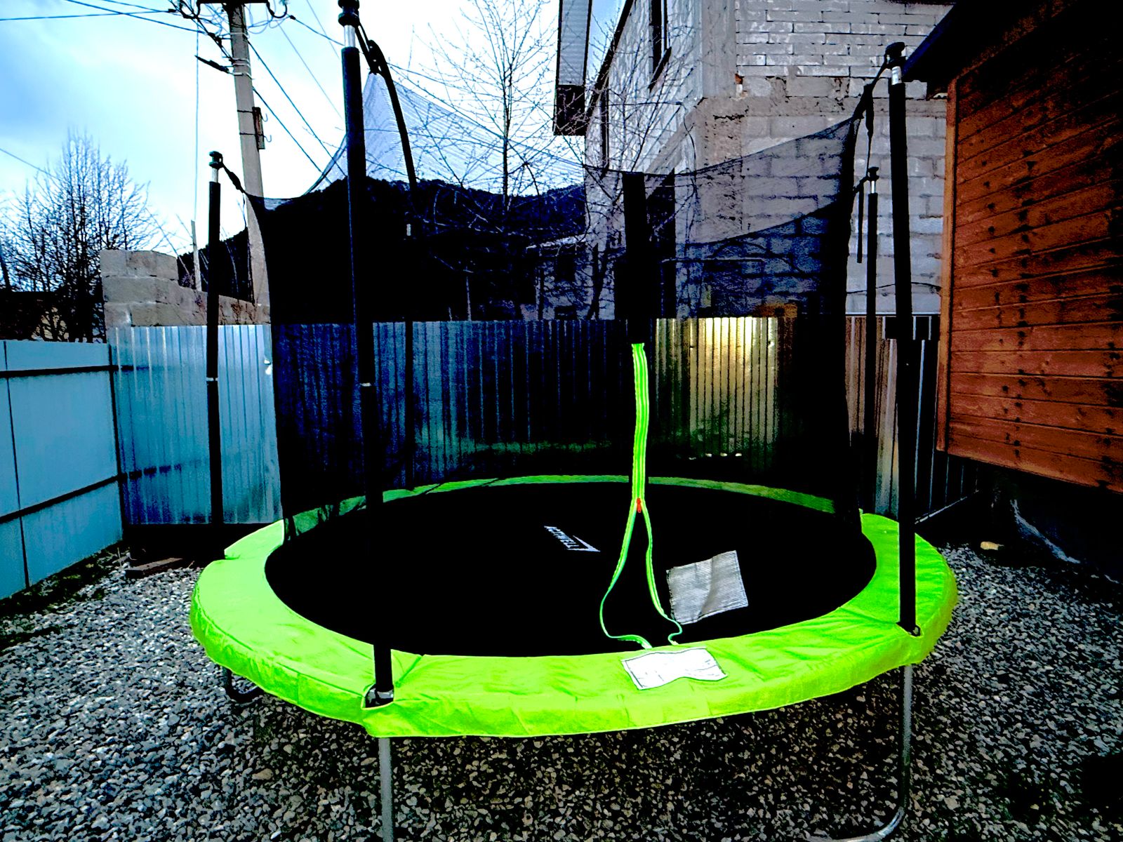 Фото Метелица