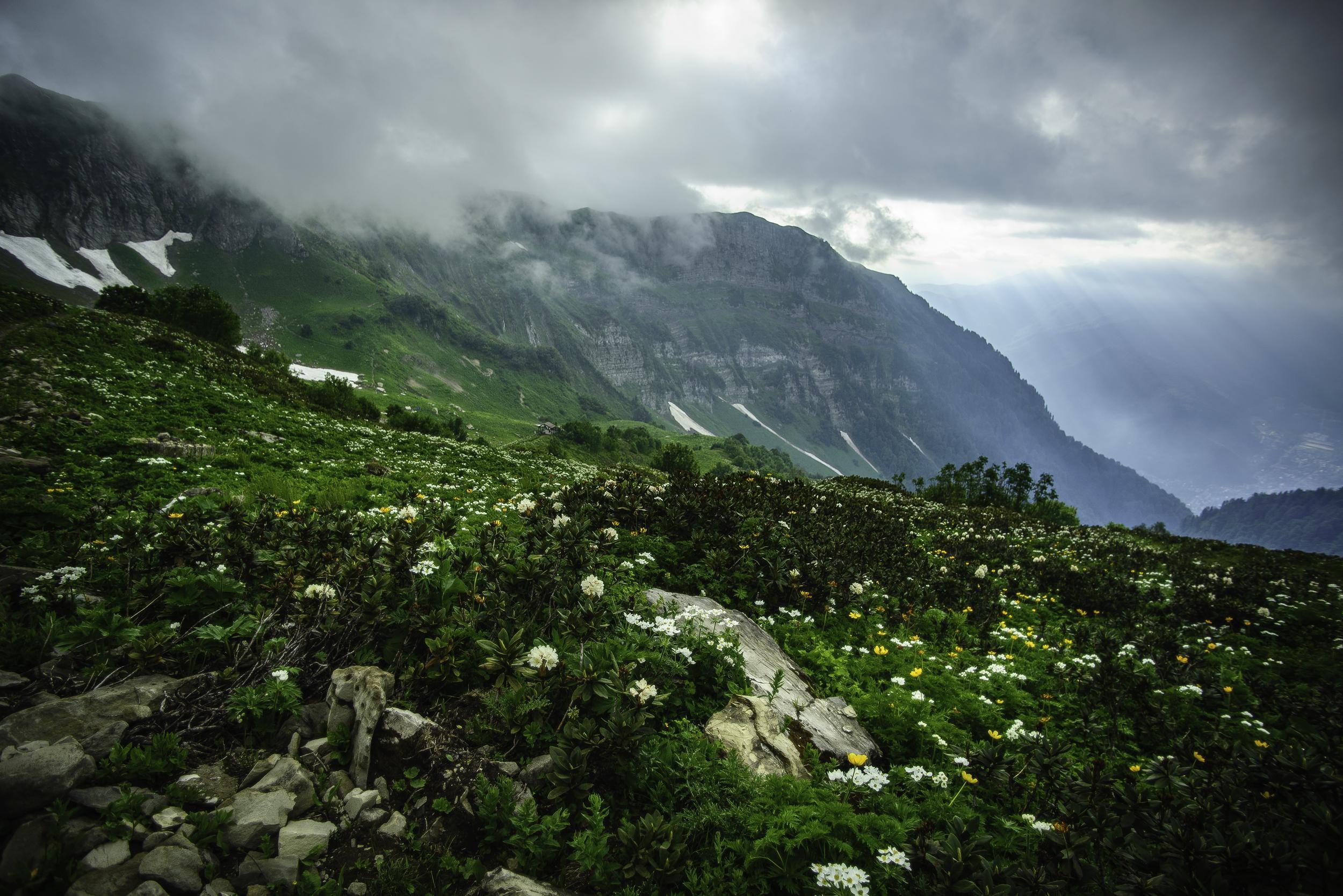 Фото Новотель Фит Красная Поляна