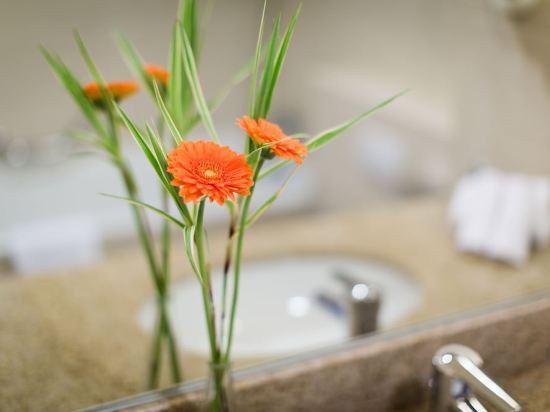 Фото Courtyard by Marriott Brussels