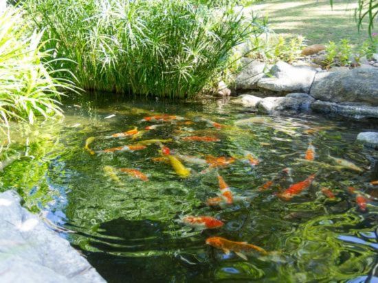 Фото Hoang Ngoc Beach Resort