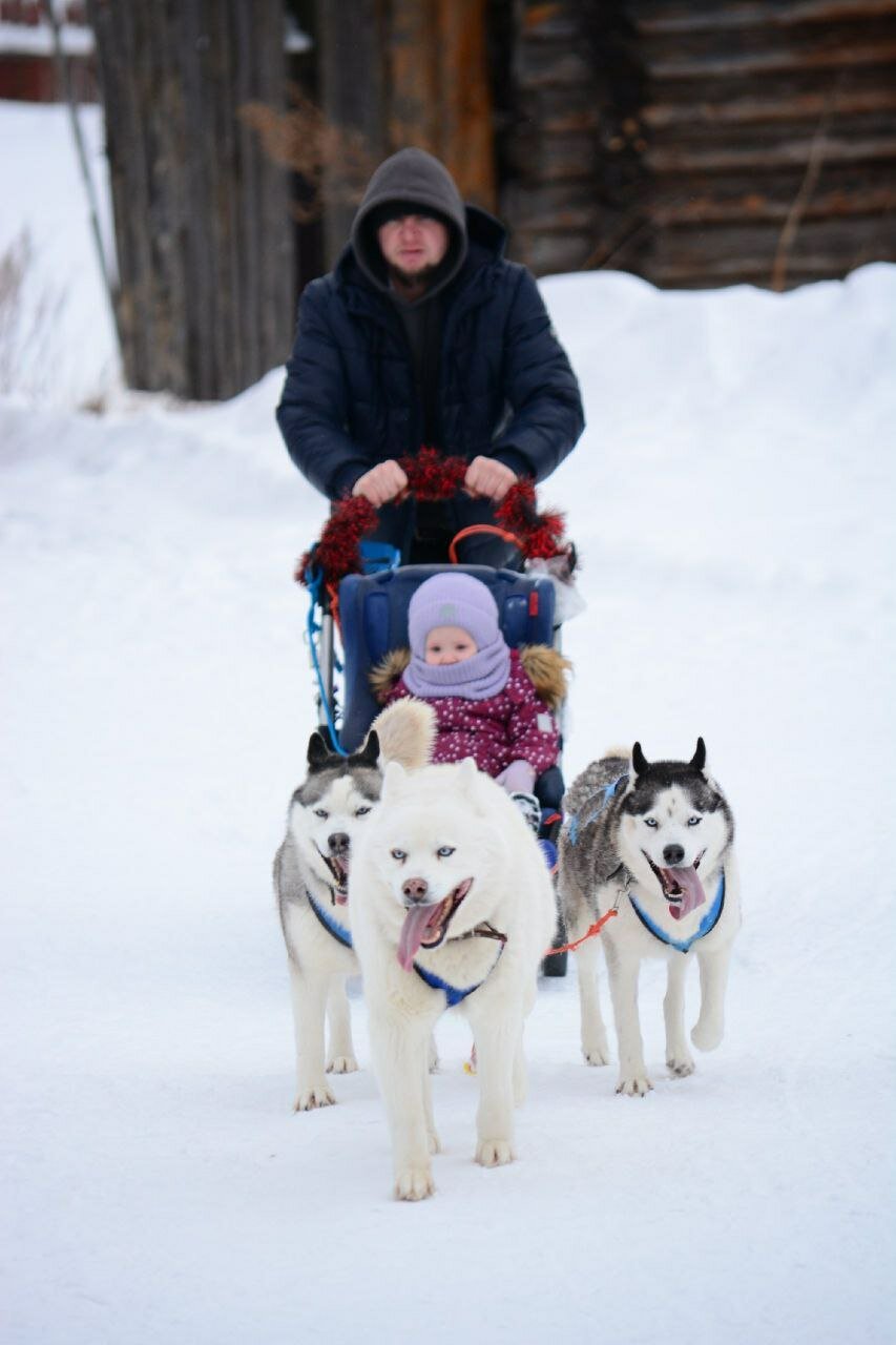 Фото Сканди дом