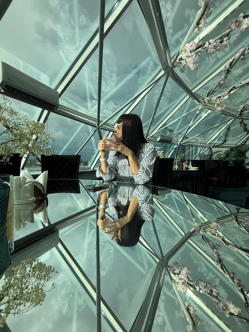 Фото Дипломат