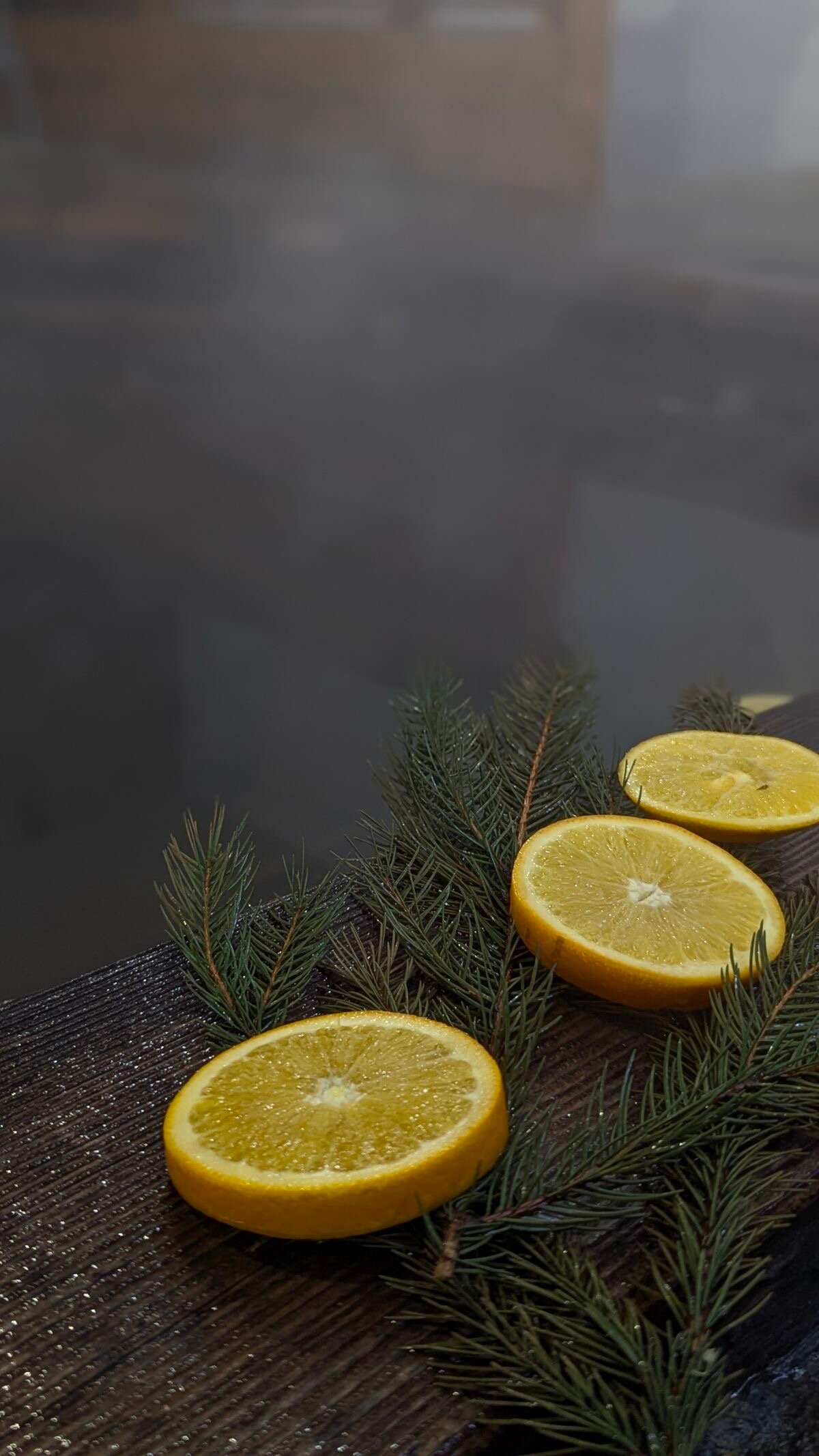 Фото Полярная звезда