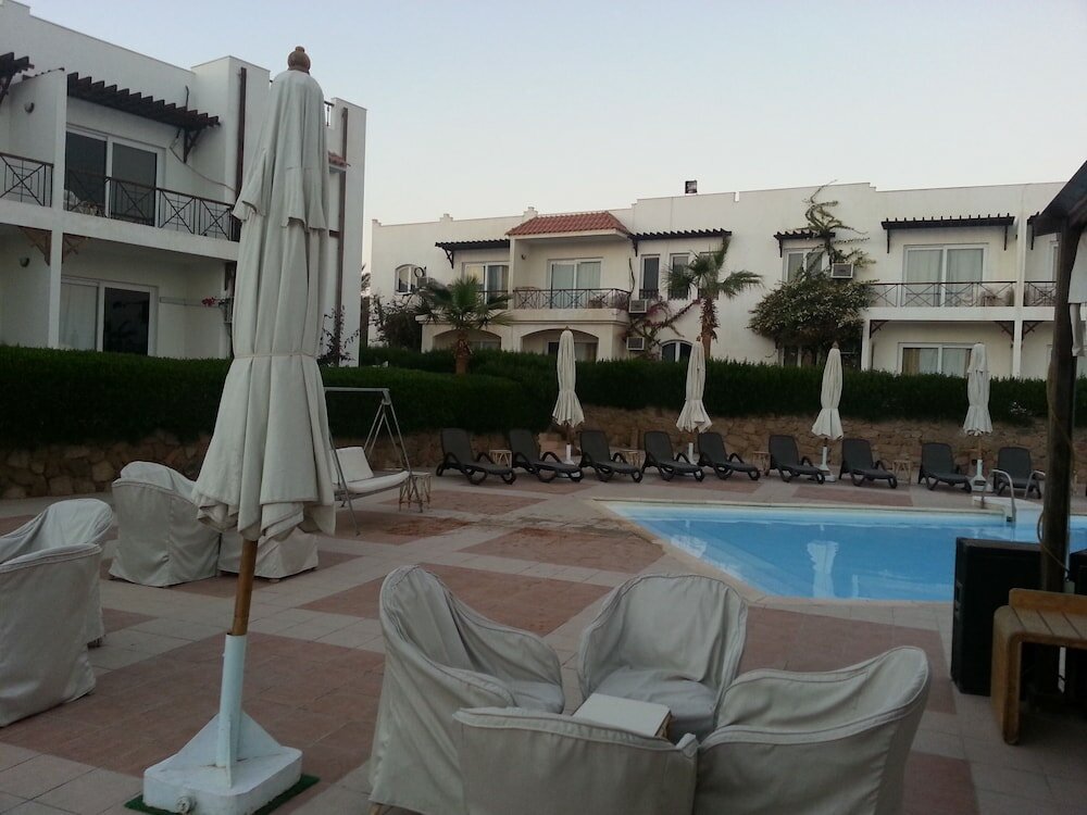 Фото Logaina Sharm