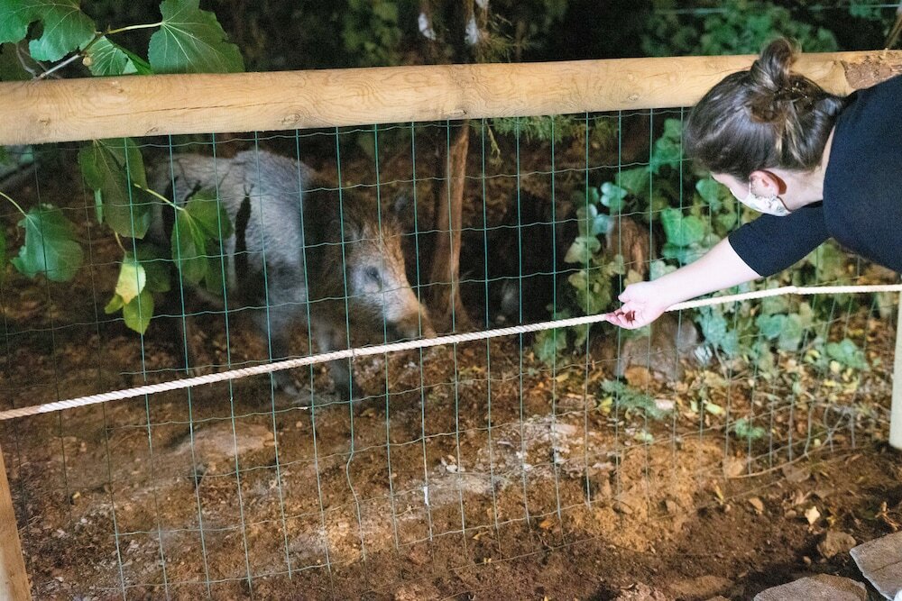 Фото Humaina Hotel