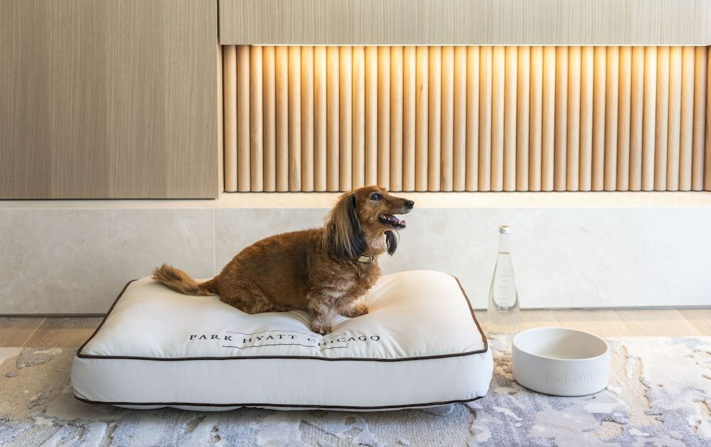 Фото Park Hyatt Chicago