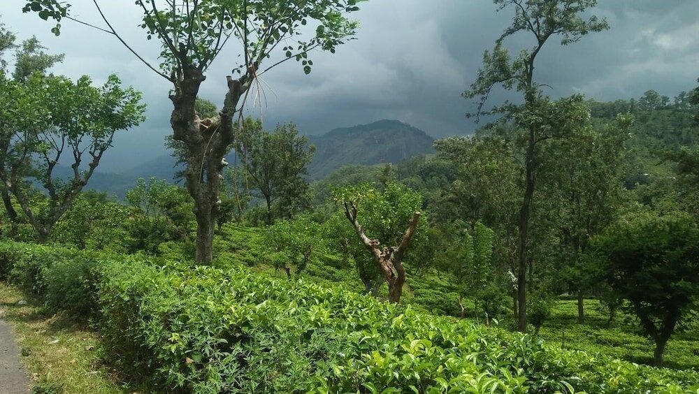 Фото Ella Camping Resort