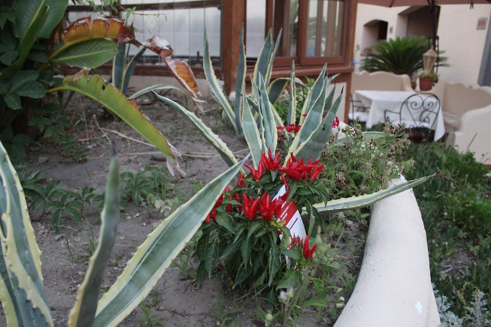 Фото La Filadelfia