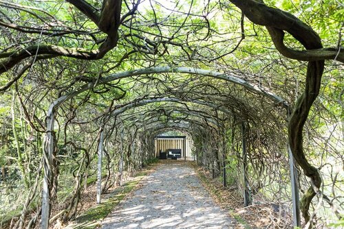 Внешний вид отеля Auszeit Hotel Düsseldorf в Дюссельдорфе, фото 4