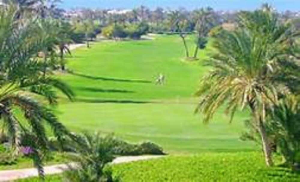 Фото Hôtel Les Palmes d'Or