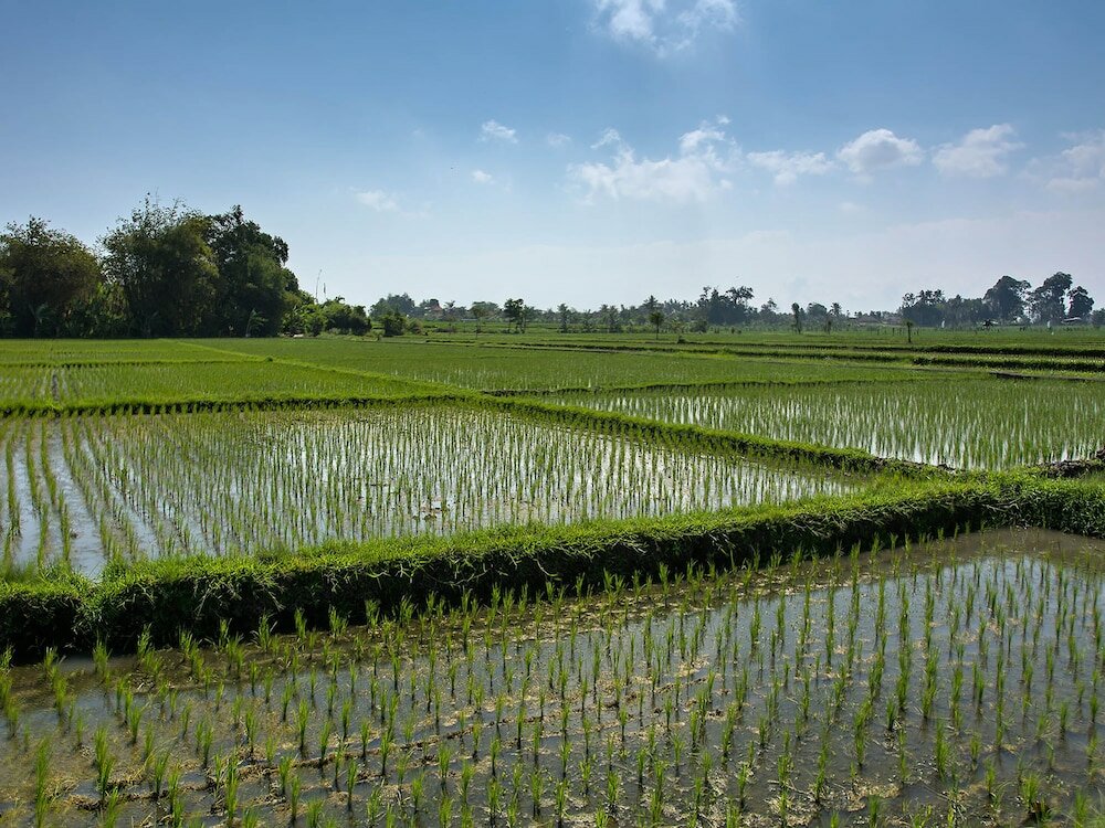 Фото Seseh Beach Villas