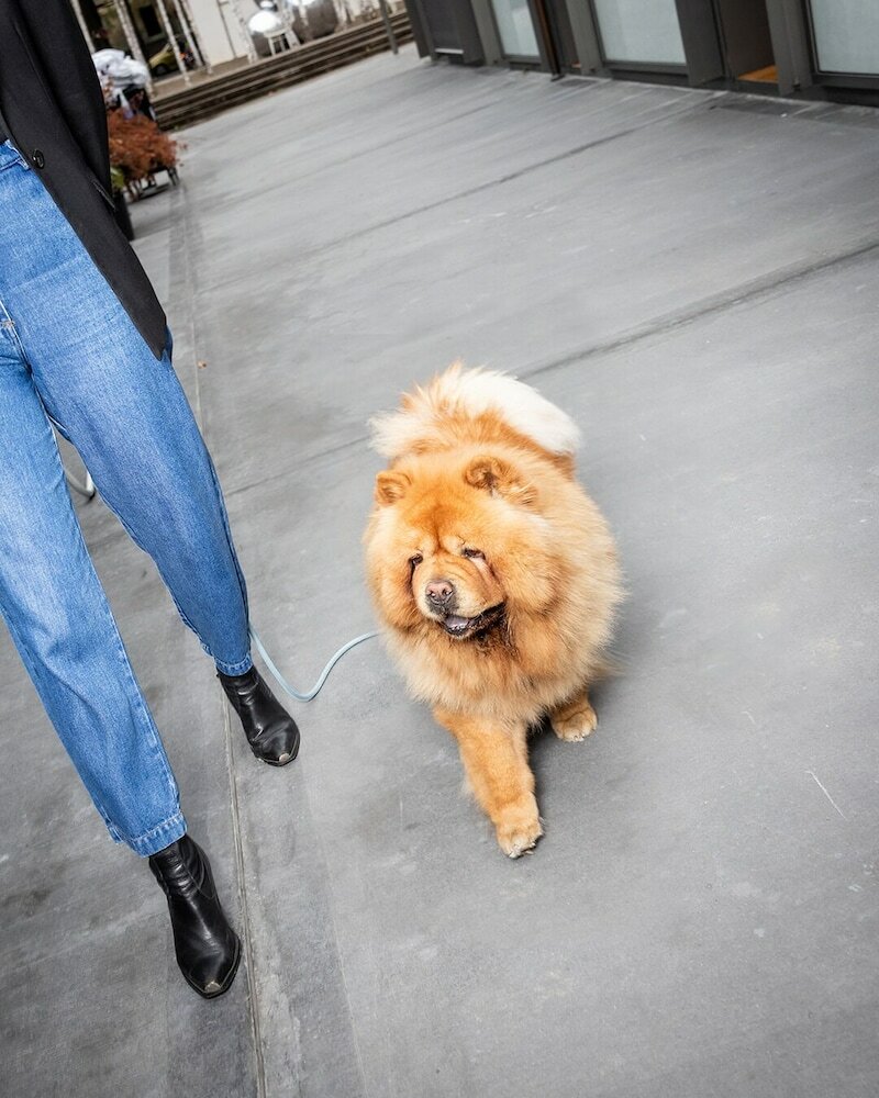 Фото Greulich Design & Boutique Hotel