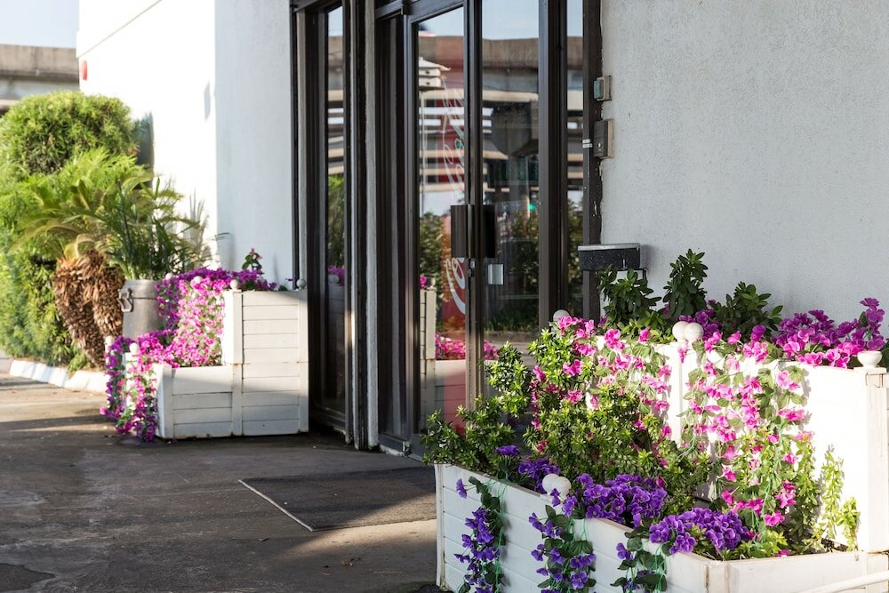 Фото Contempra Inn