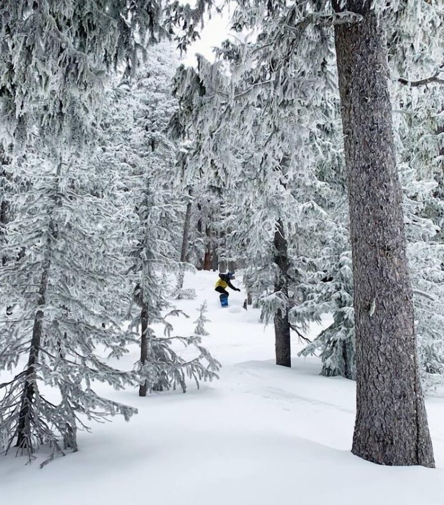 Фото Inn of the Governors