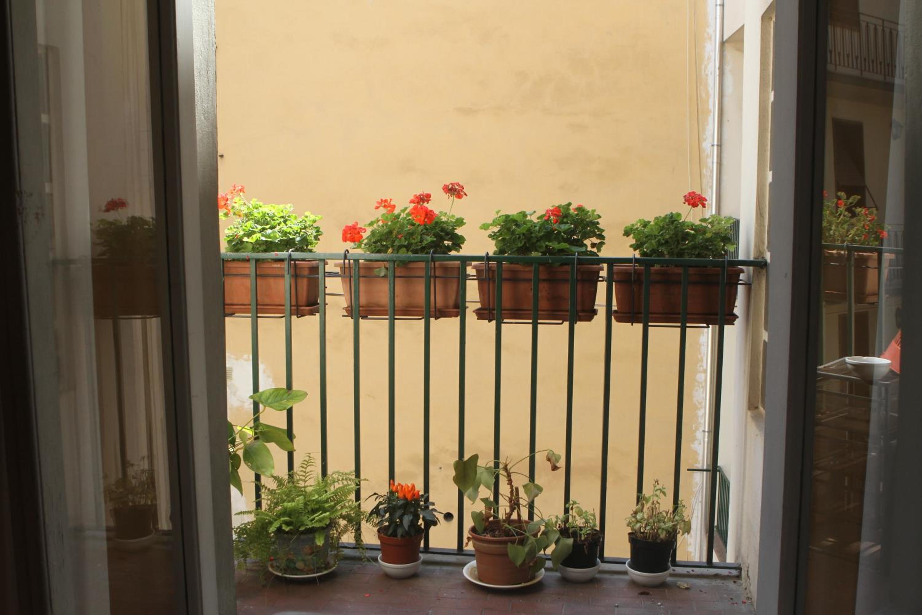 Фото Hotel Cordova