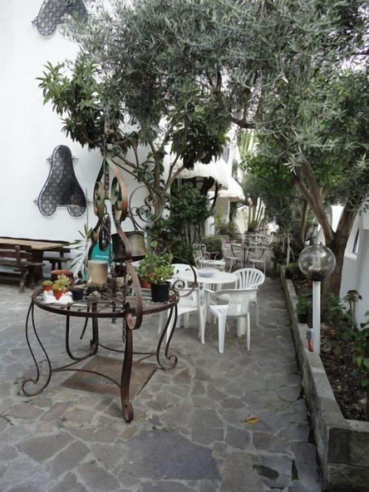 Фото Hotel Candia