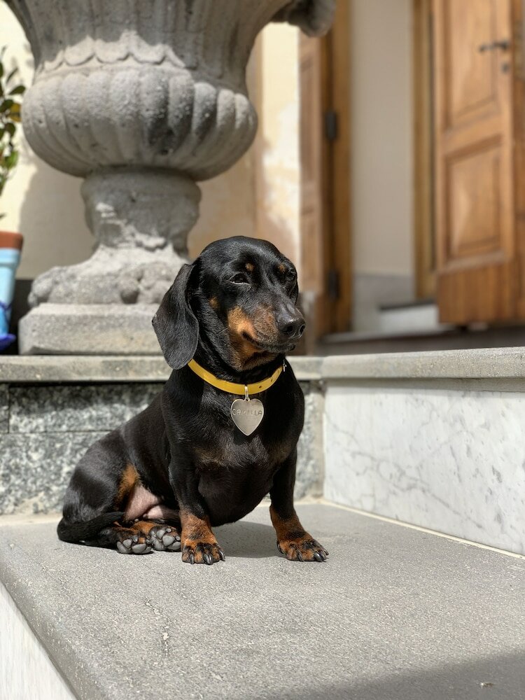 Фото Hotel Bonadies