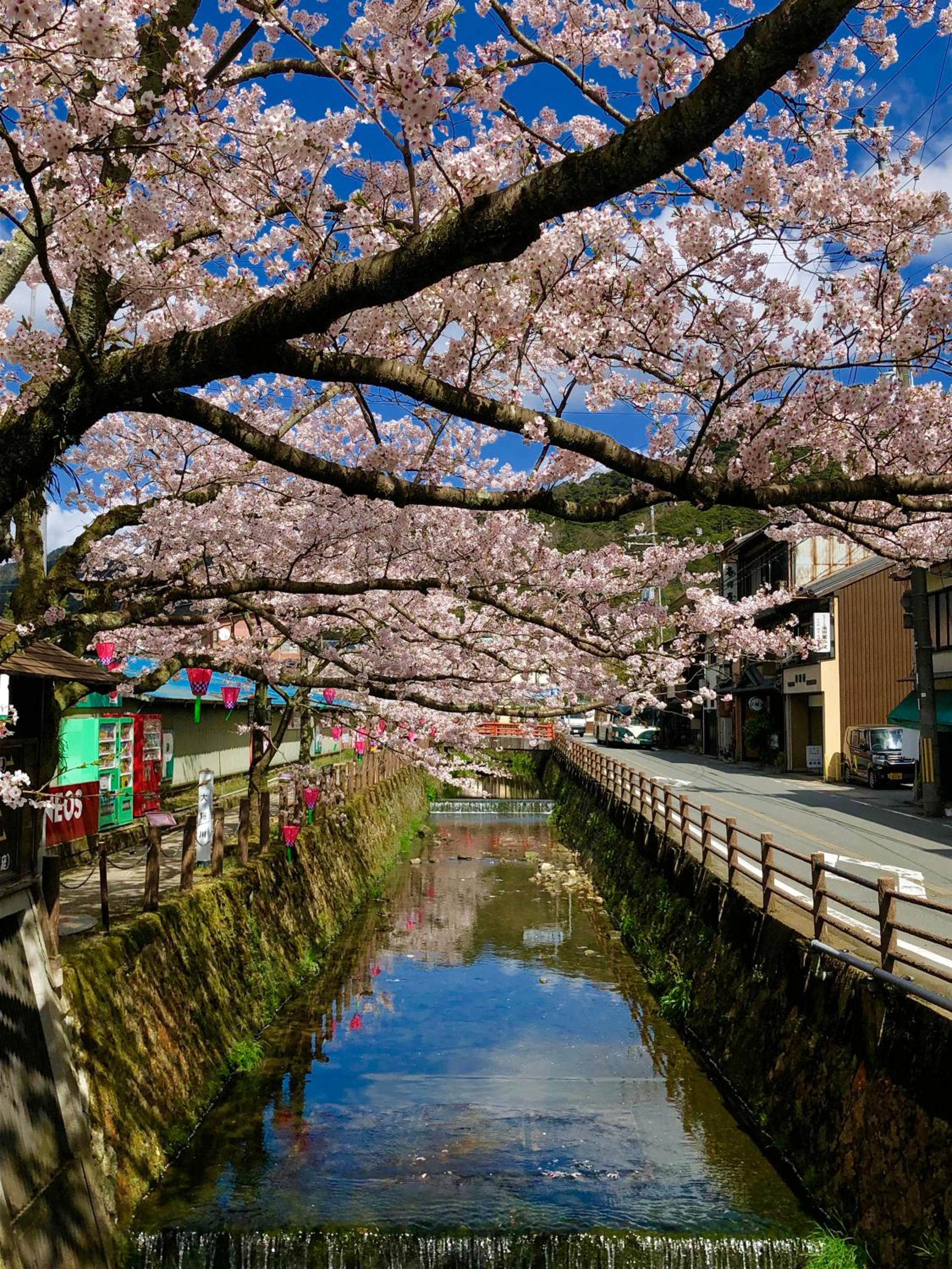 Фото Nishimuraya Honkan