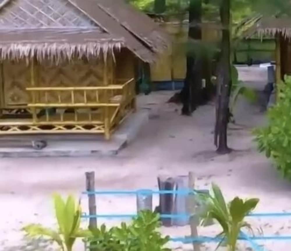 Фото Micky Monkey Beach Hotel Phuket Maikhao Thailand