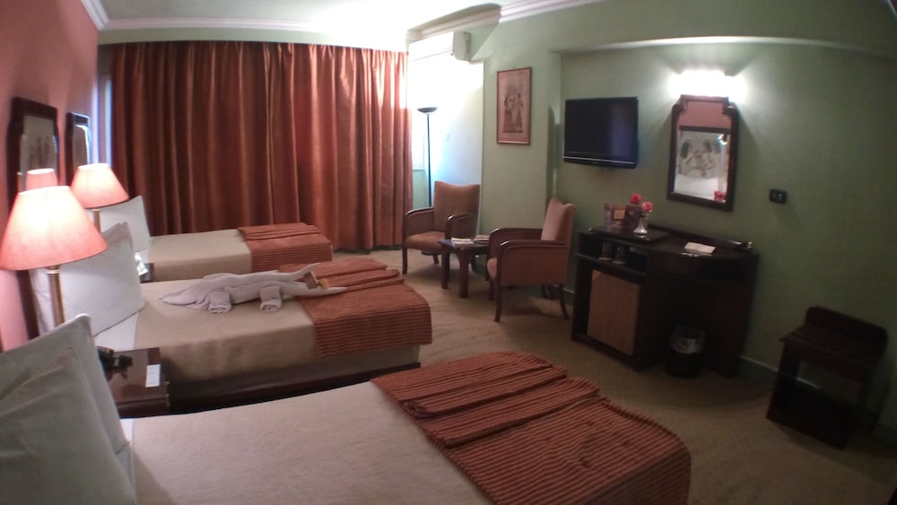 Фото Zayed Hotel