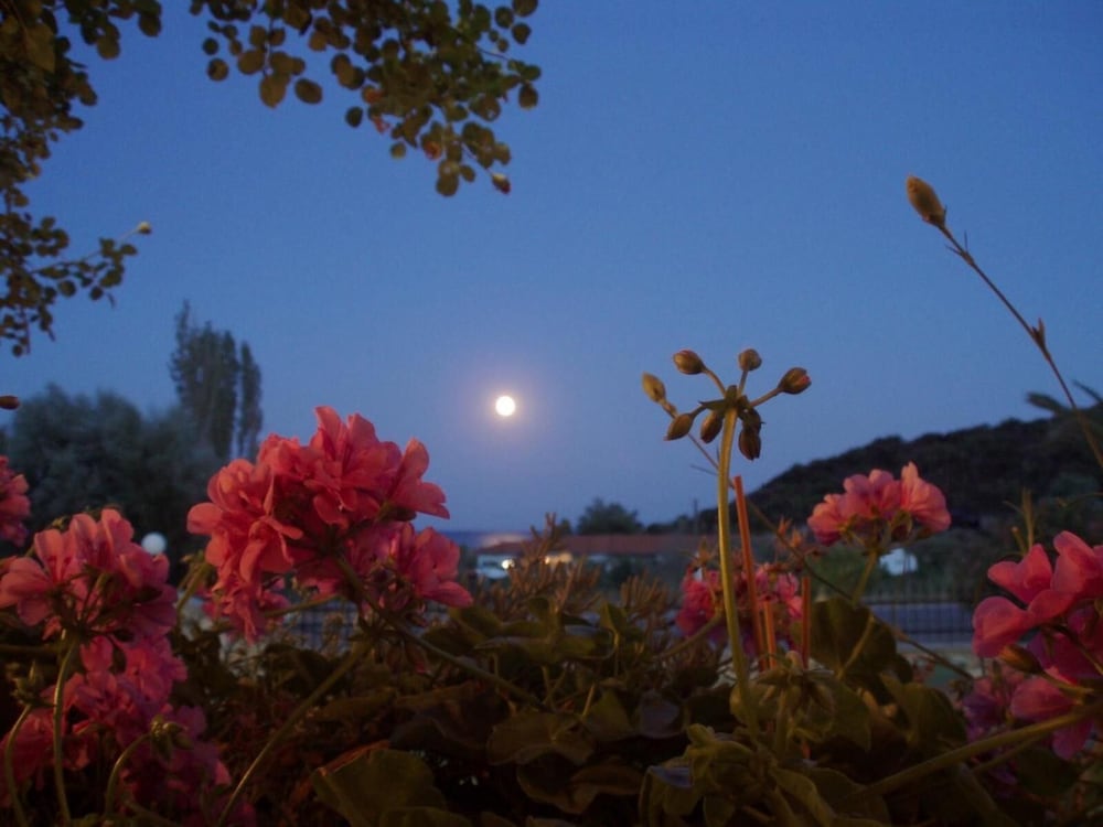 Фото Ermioni Hotel