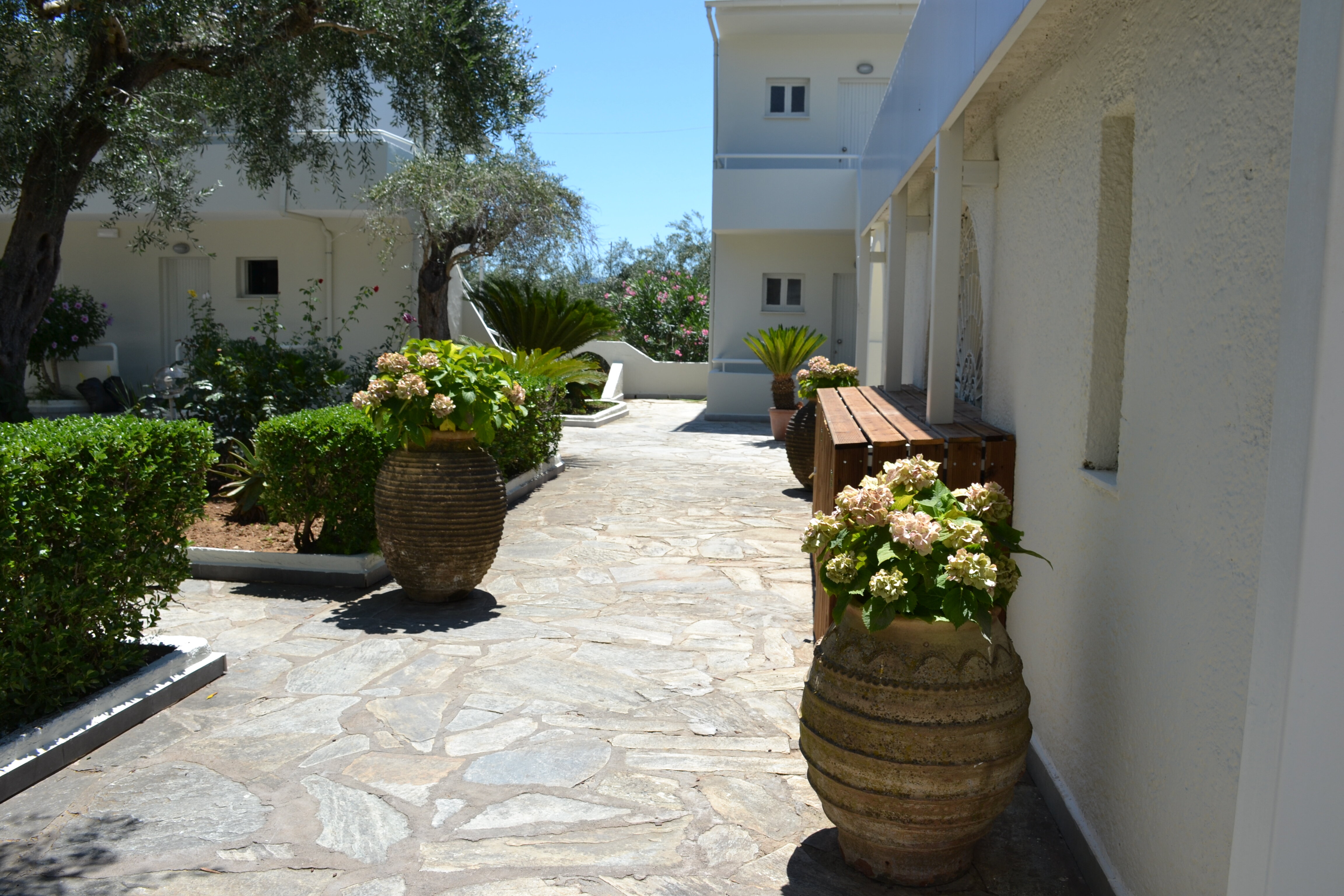 Фото Dassia Holiday Club