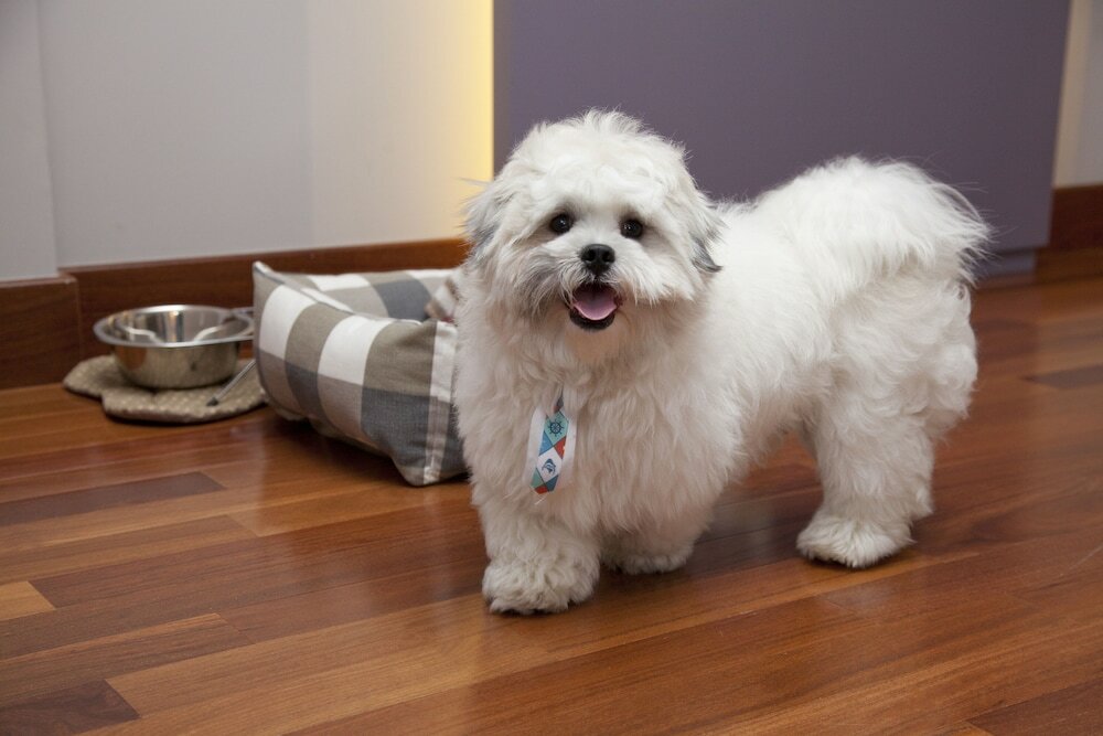 Фото Nh Curitiba The Five