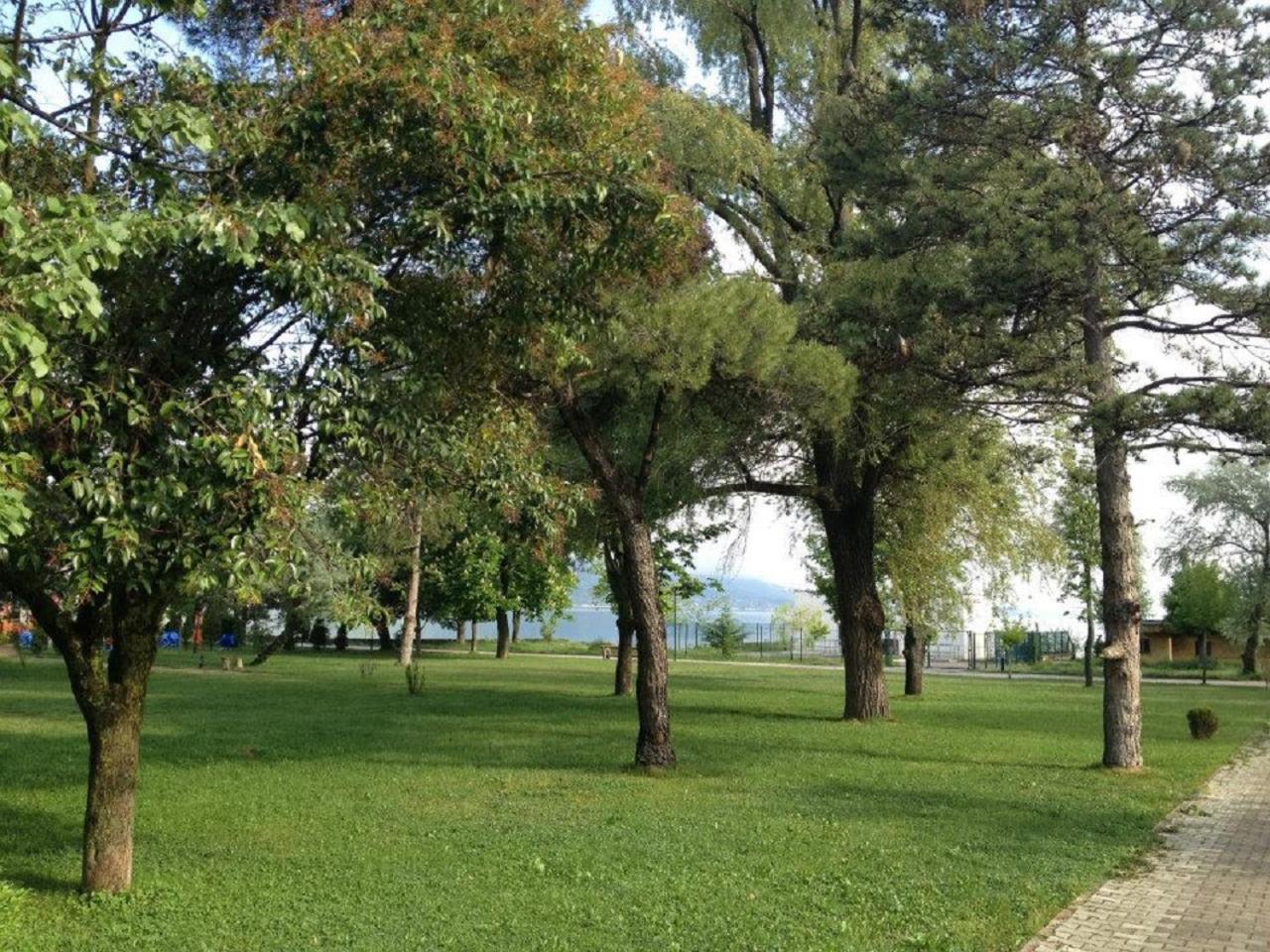 Фото Perla Hotel