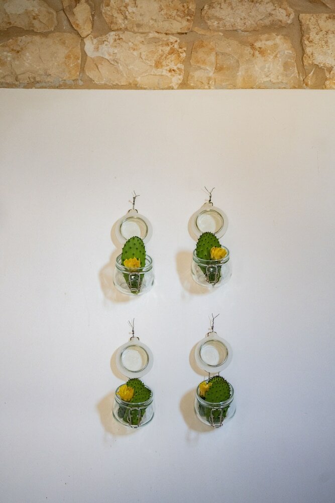 Фото Masseria Montepaolo