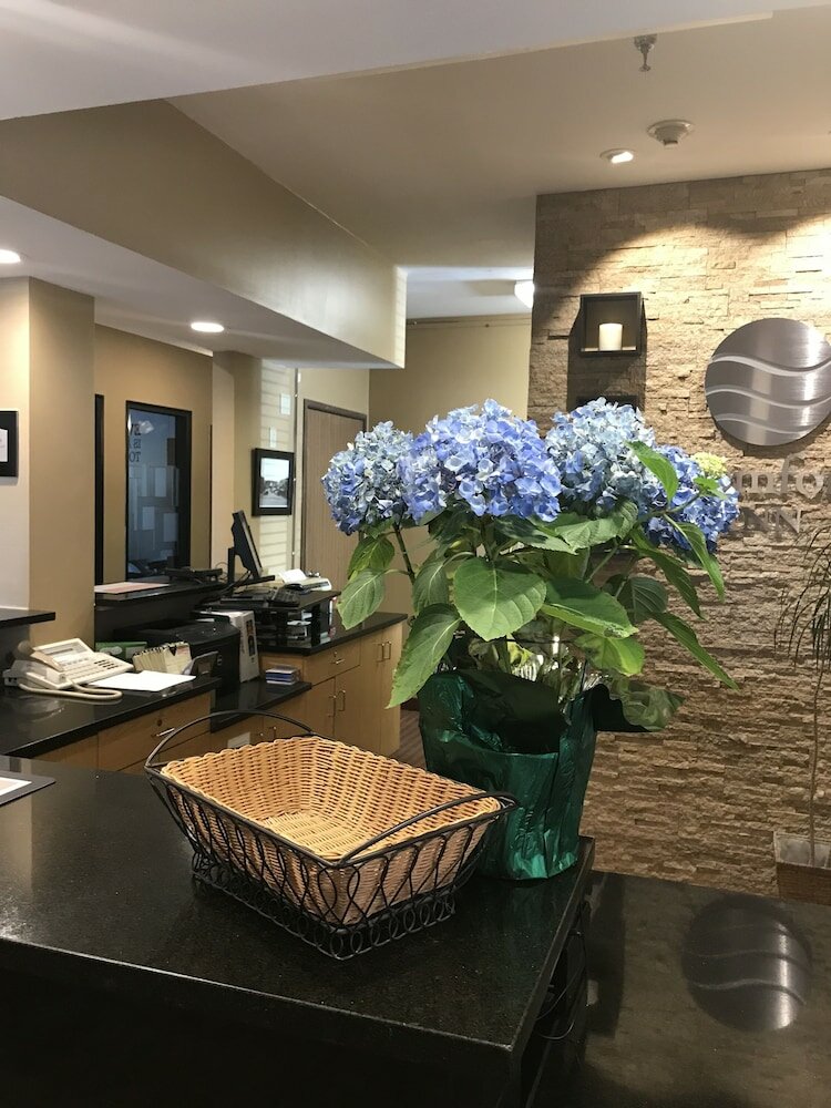 Фото Comfort Inn Ellsworth - Bar Harbor