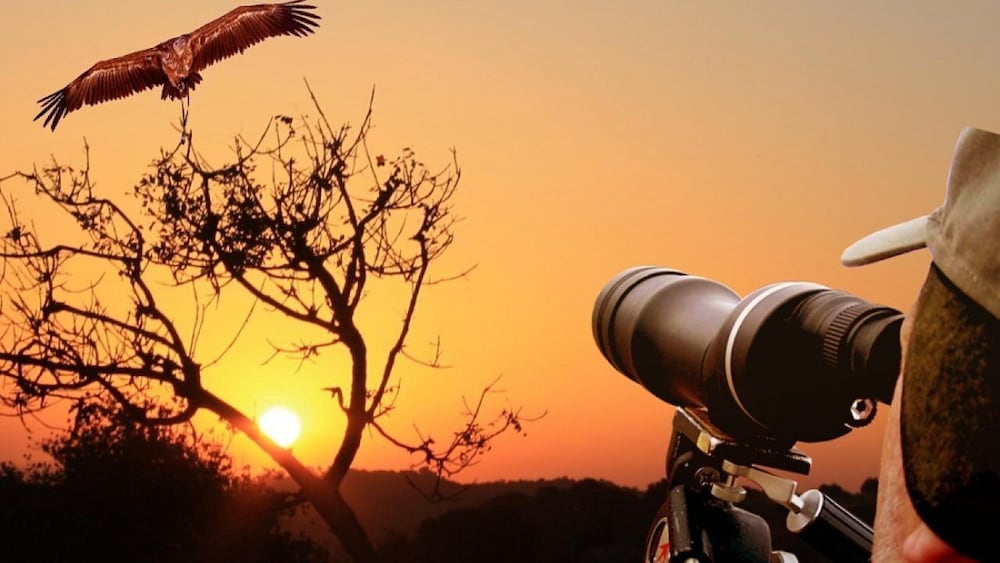 Фото Silver Dome